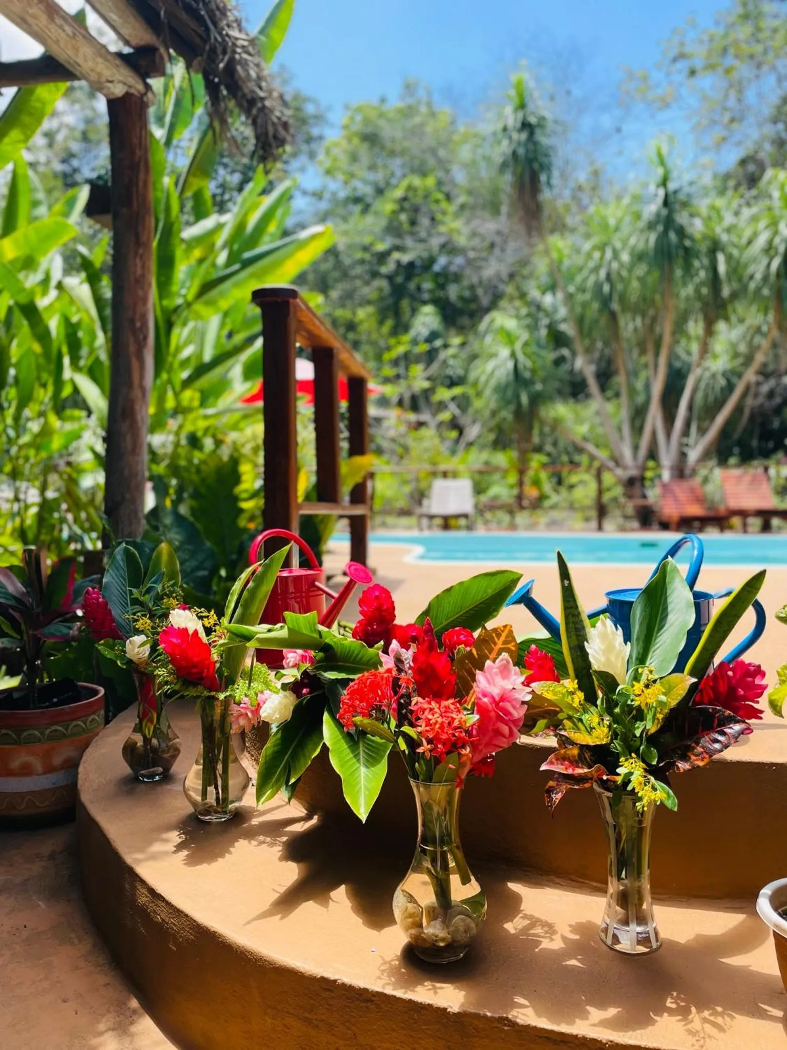 Garden in Mariposa Jungle Lodge