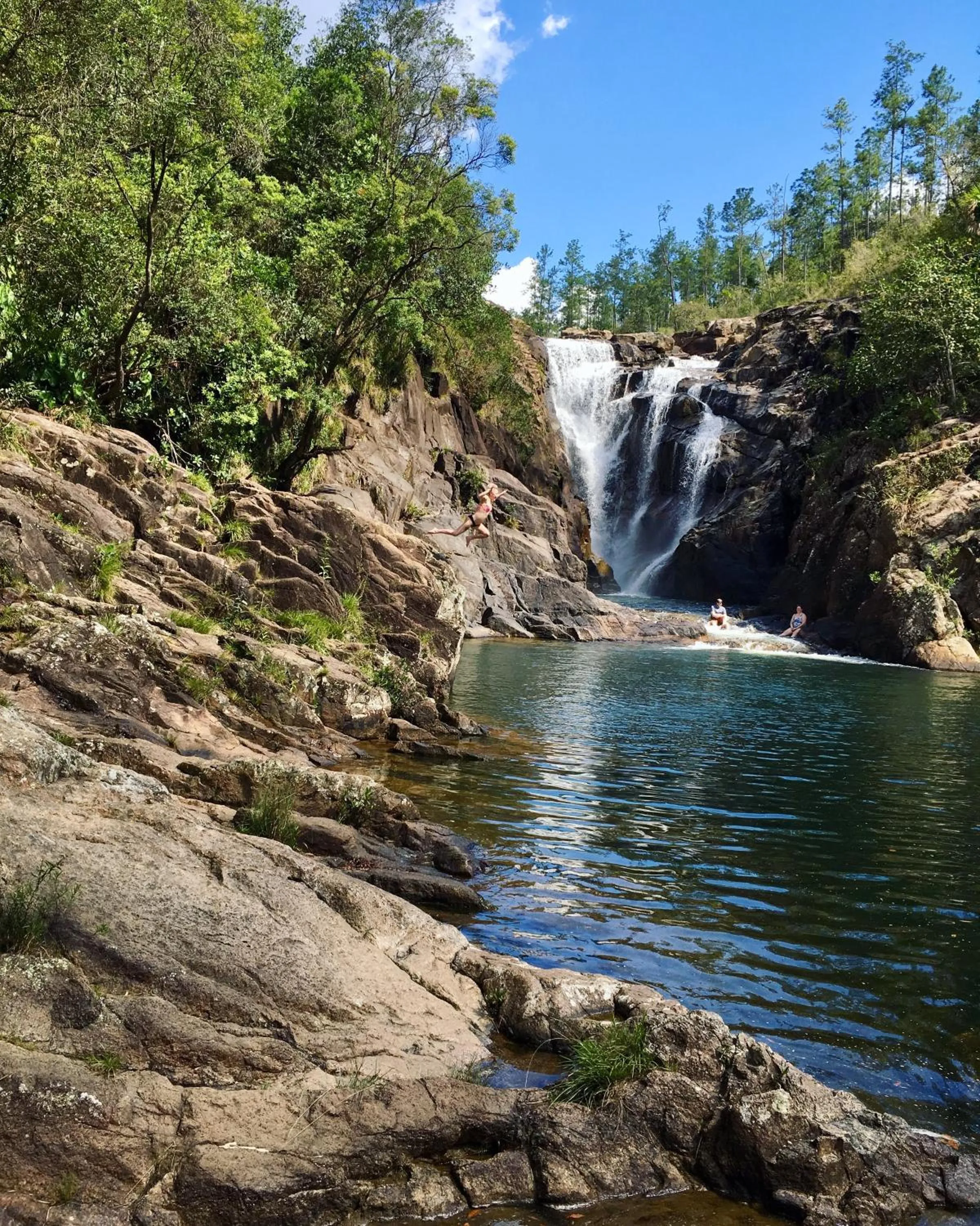 Natural landscape in Mariposa Jungle Lodge
