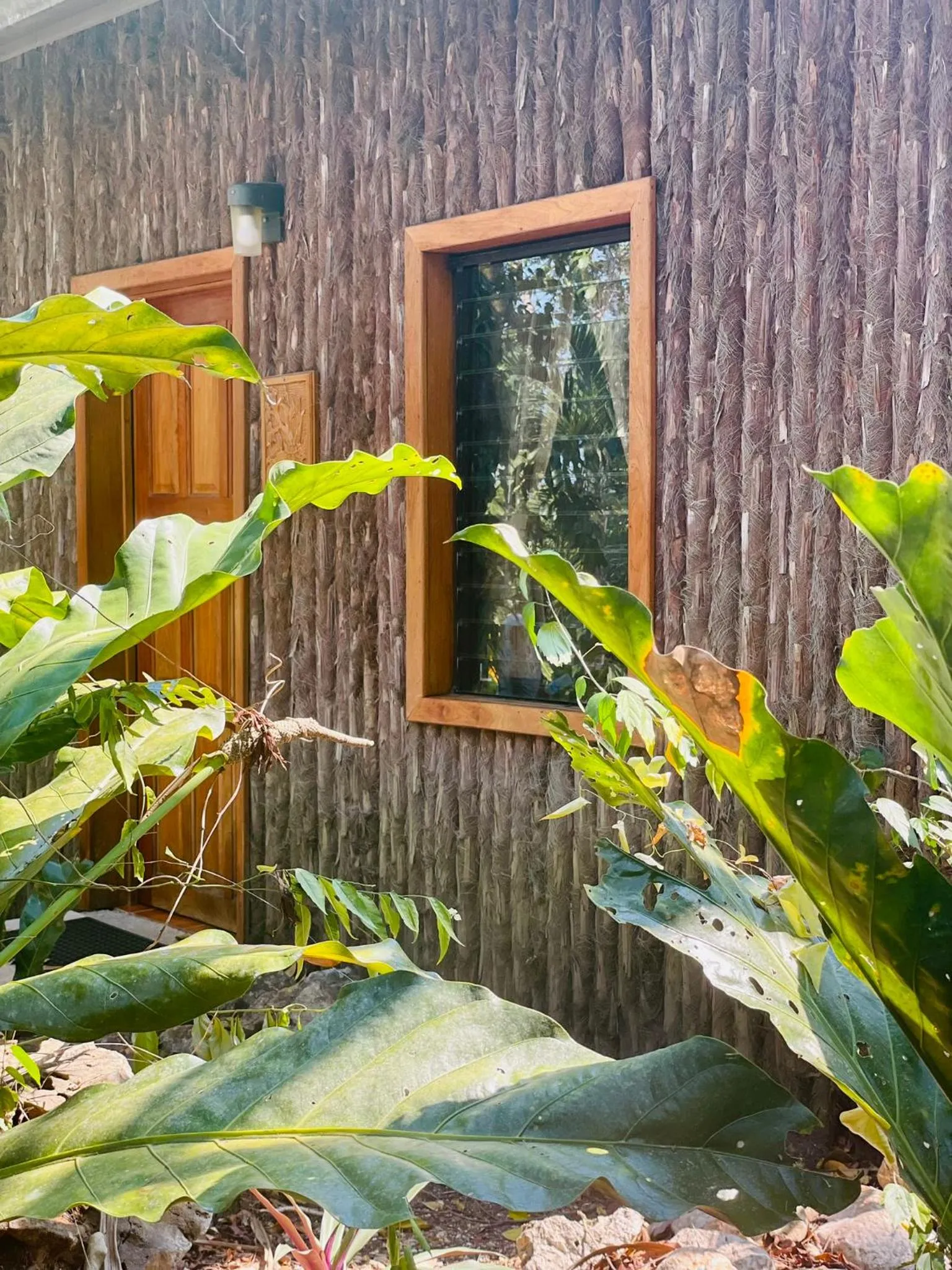 Garden in Mariposa Jungle Lodge