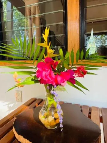 Patio in Mariposa Jungle Lodge