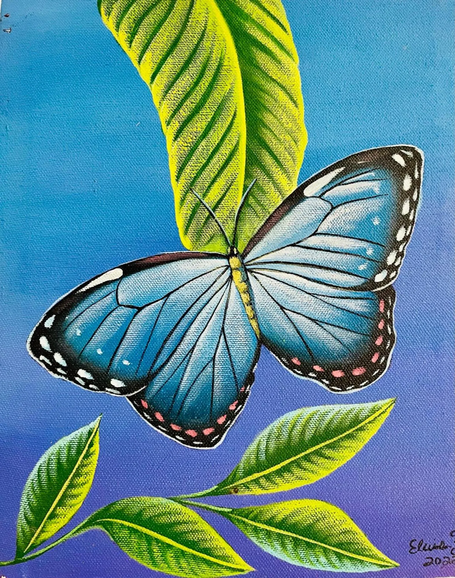 Decorative detail in Mariposa Jungle Lodge