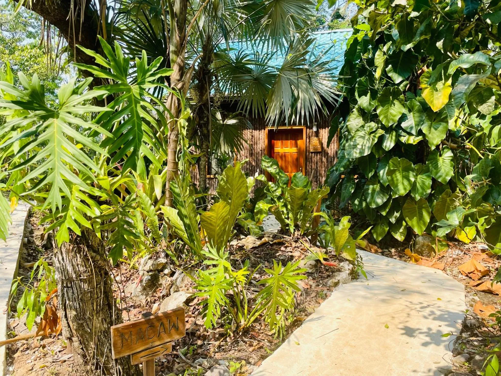 Garden in Mariposa Jungle Lodge