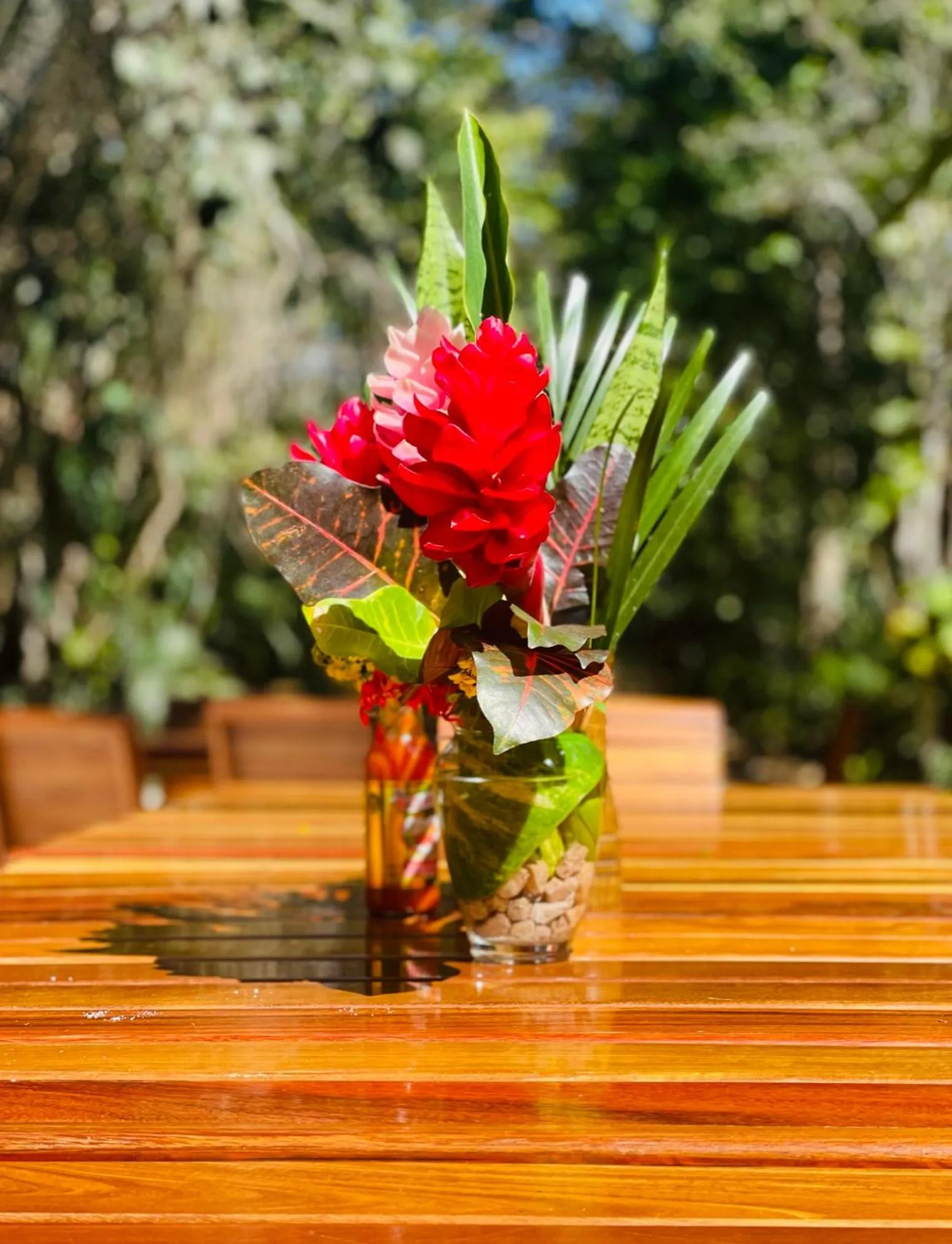 Dining area in Mariposa Jungle Lodge