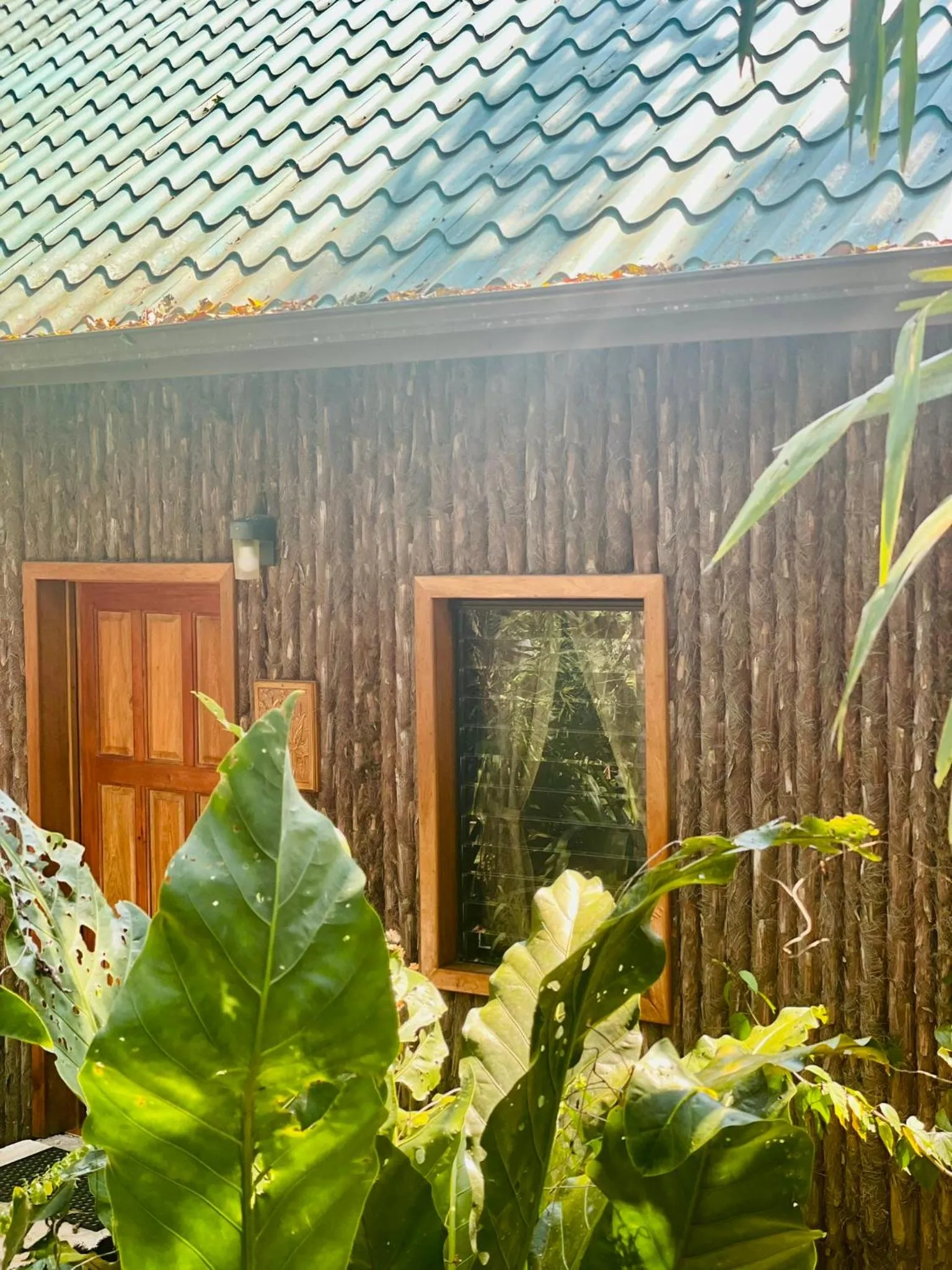 Garden in Mariposa Jungle Lodge