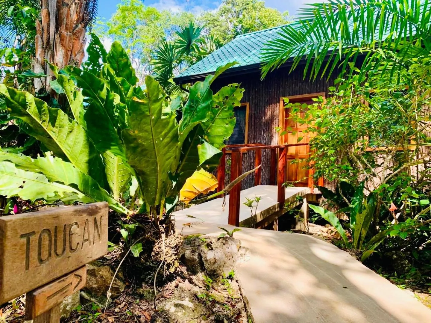 Garden in Mariposa Jungle Lodge