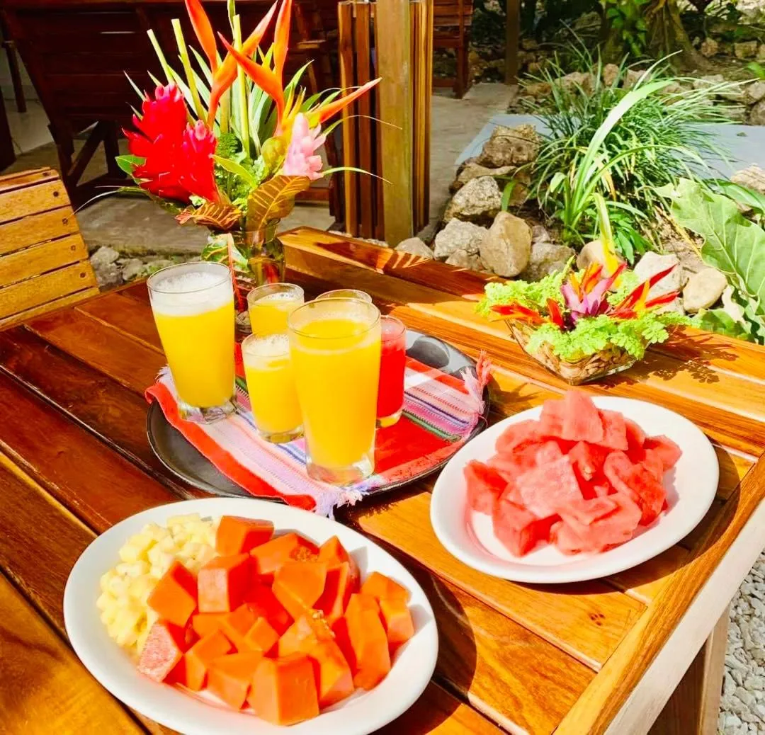 Dining area in Mariposa Jungle Lodge