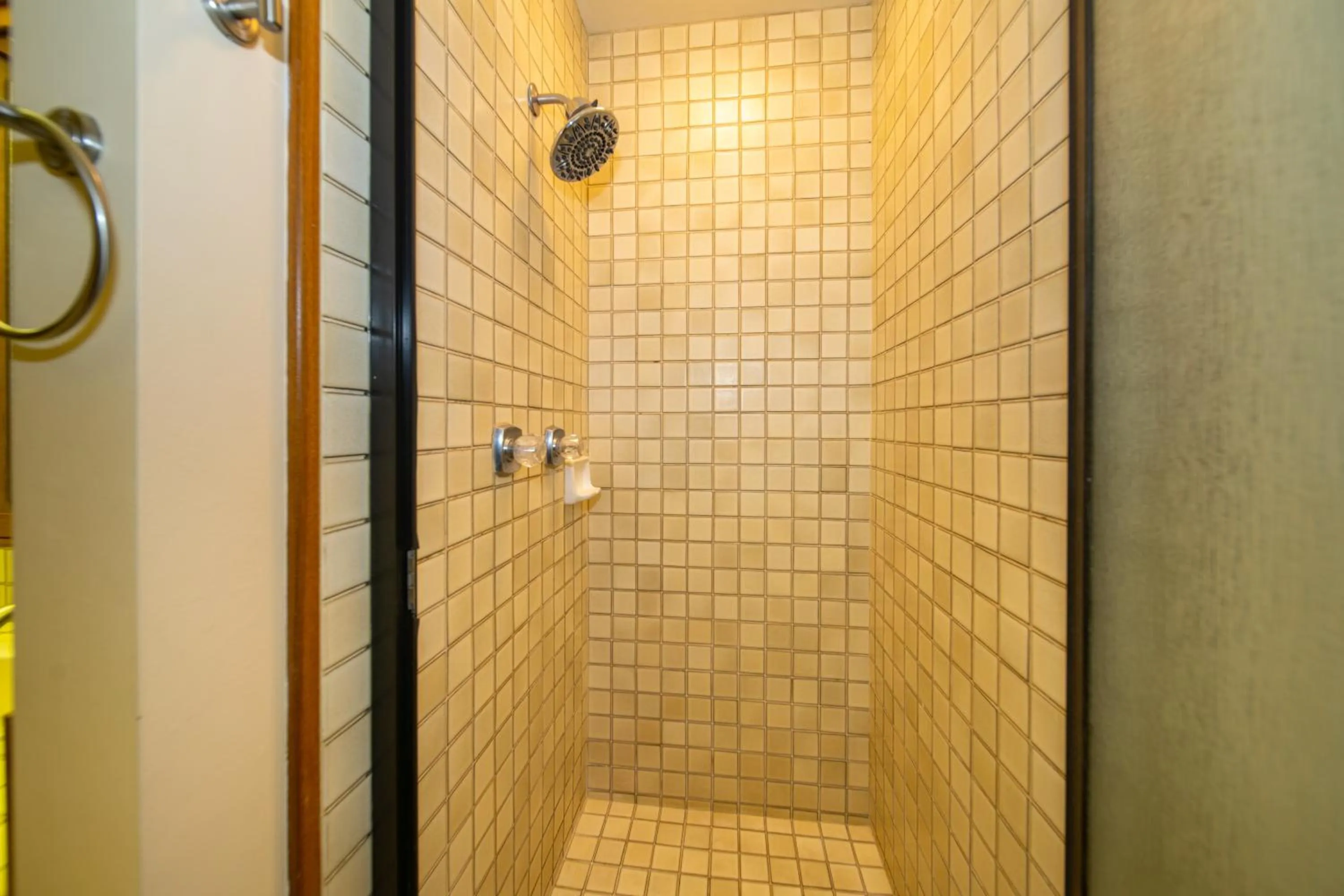 Shower in Kapalua Villas Maui