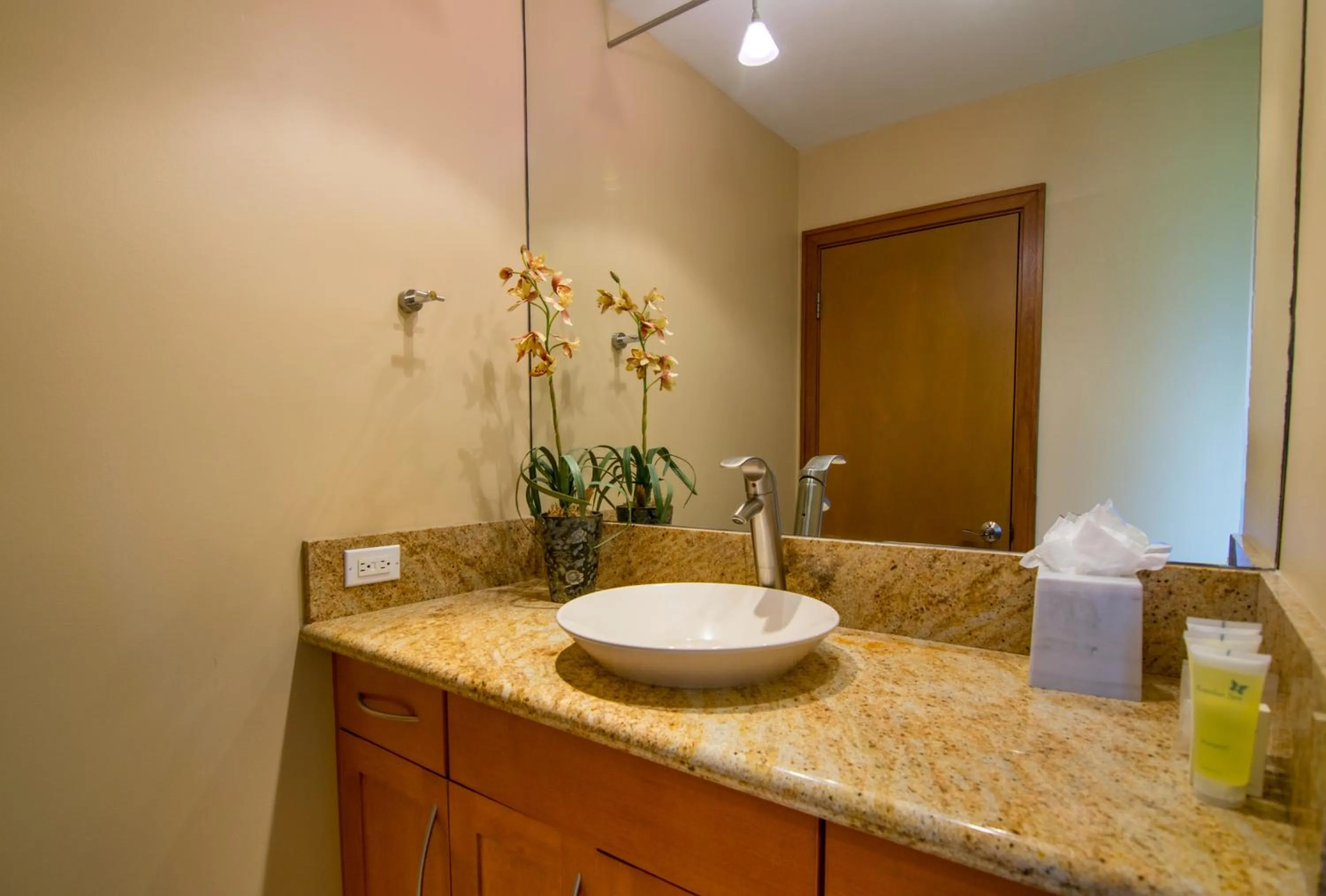 Bathroom in Kapalua Villas Maui