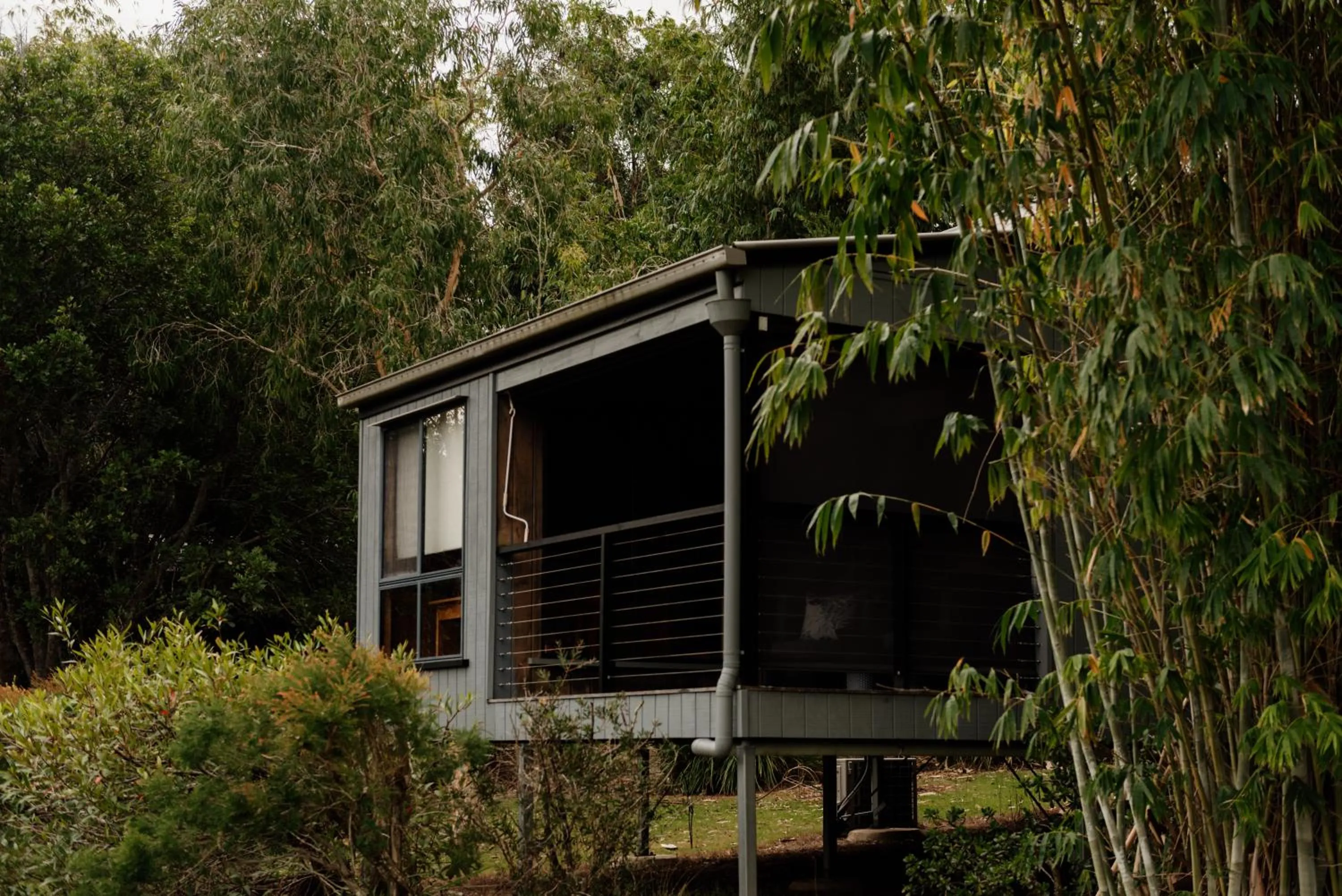 Property building in Tuckeroo Cottages & Gardens - Blue Wren & Kookaburra