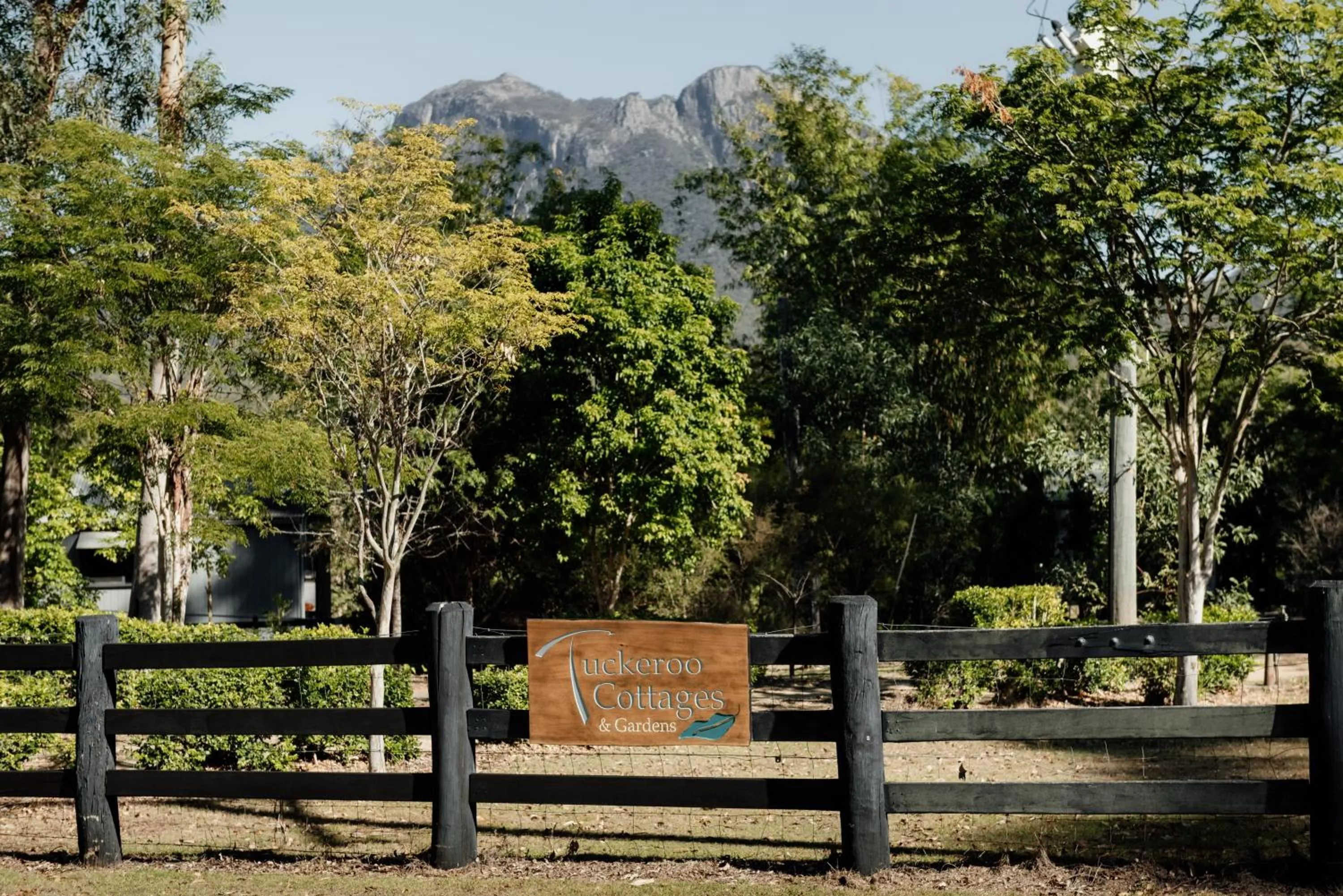 Nearby landmark in Tuckeroo Cottages & Gardens - Blue Wren & Kookaburra