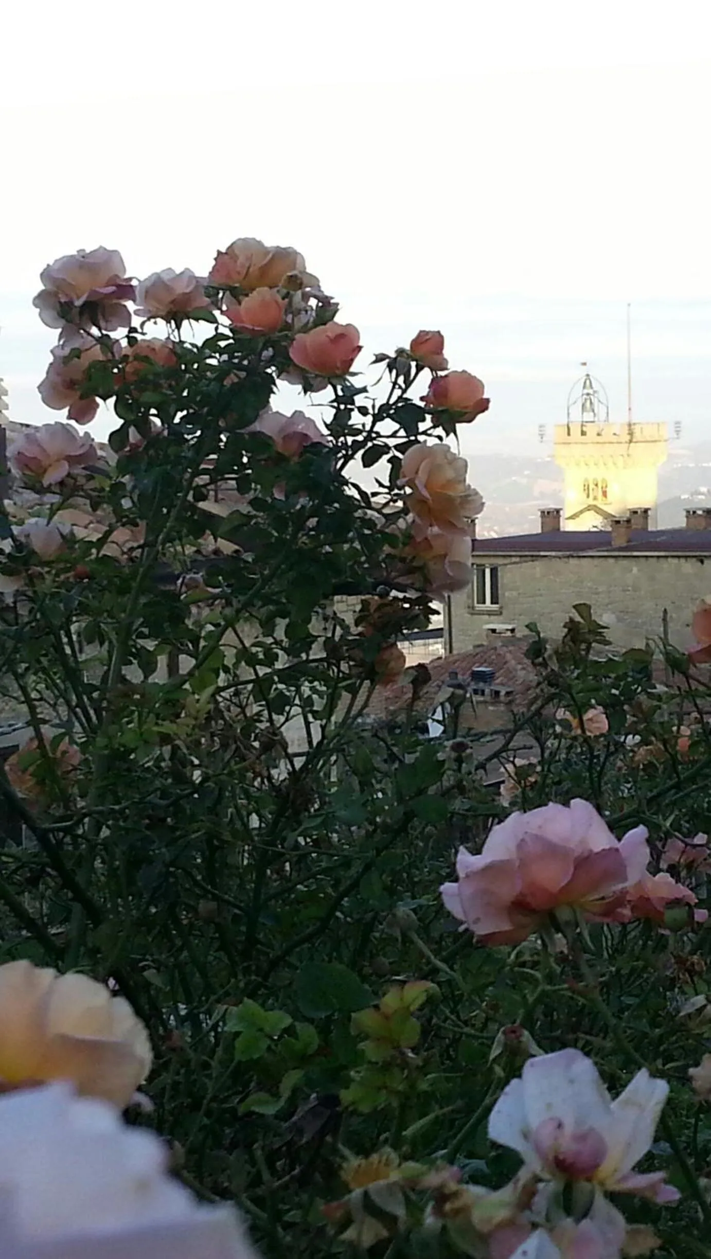 View (from property/room) in antica bifora rsm