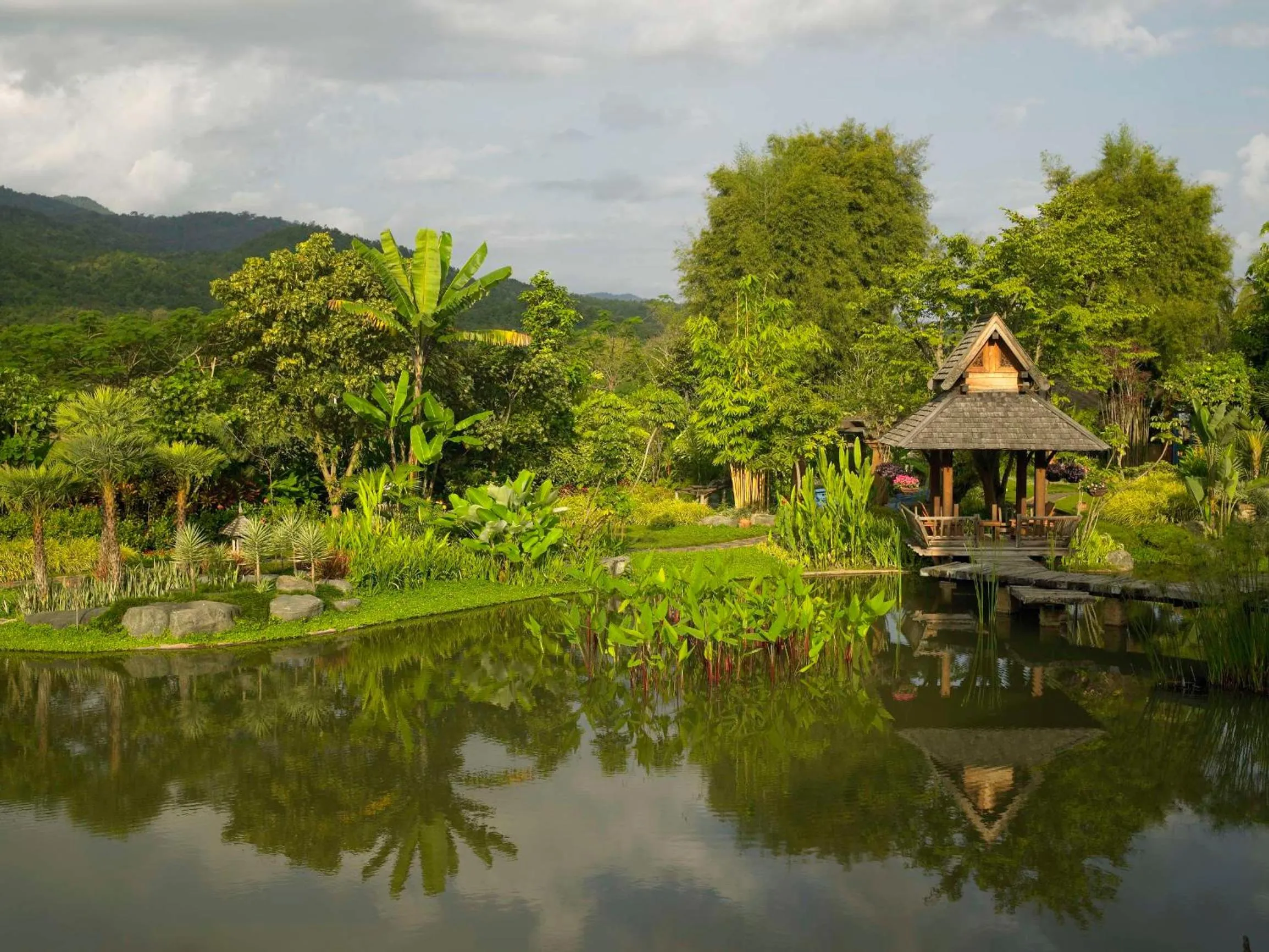 Day in Howie's HomeStay