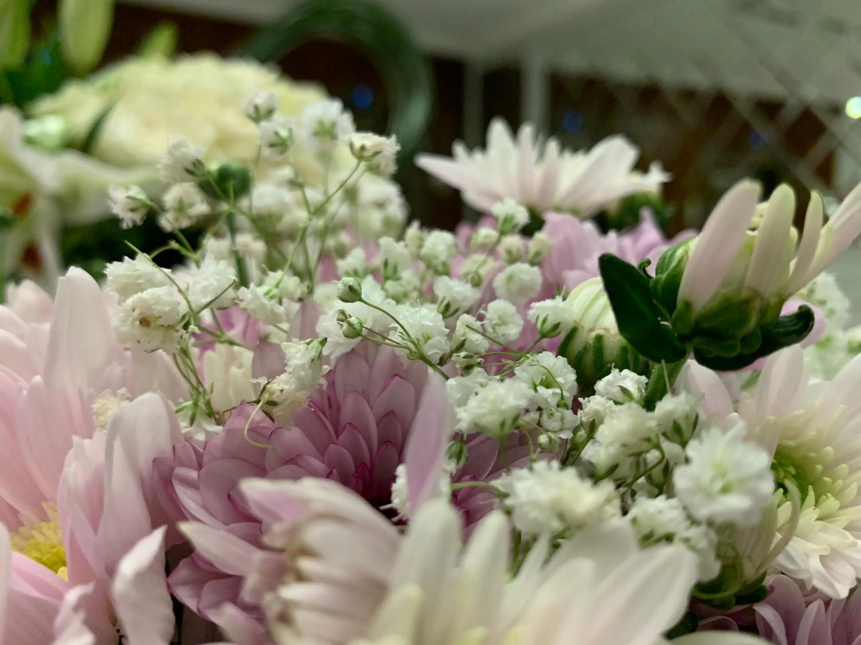 Lobby or reception in Tripper Inn Dammam