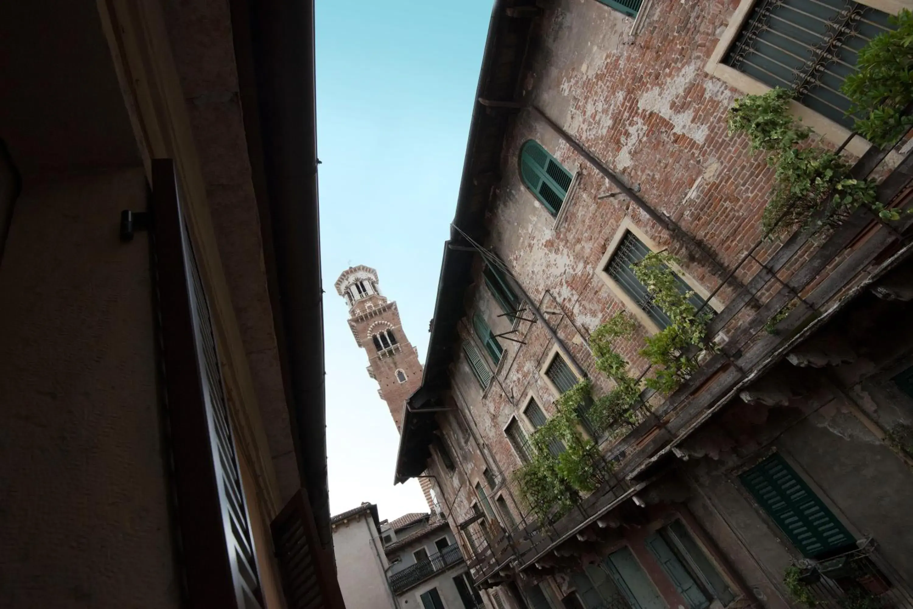 Landmark view in Albergo Mazzanti Landmark view in Albergo Mazzanti