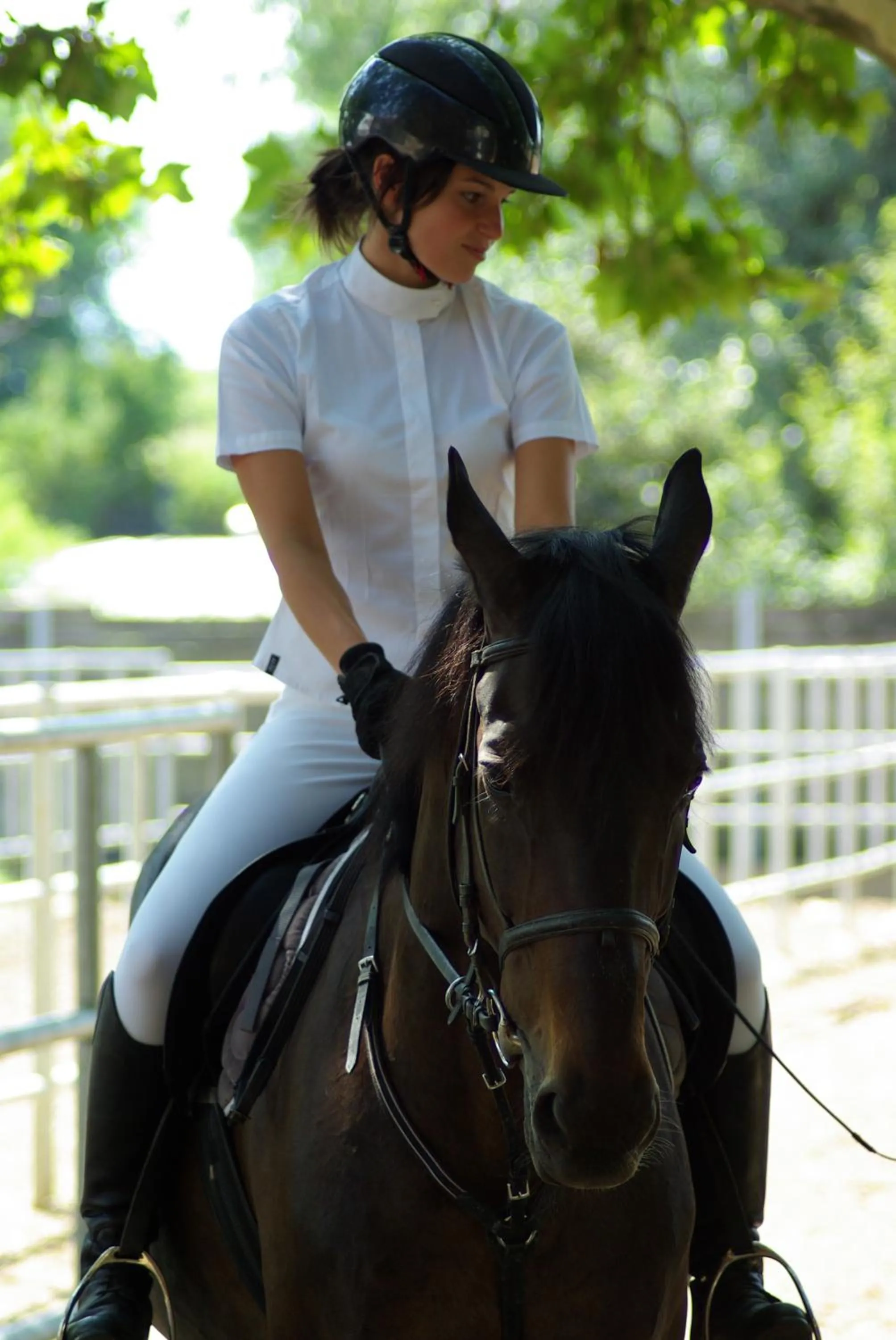 Horse-riding in Hotel Pagony Wellness