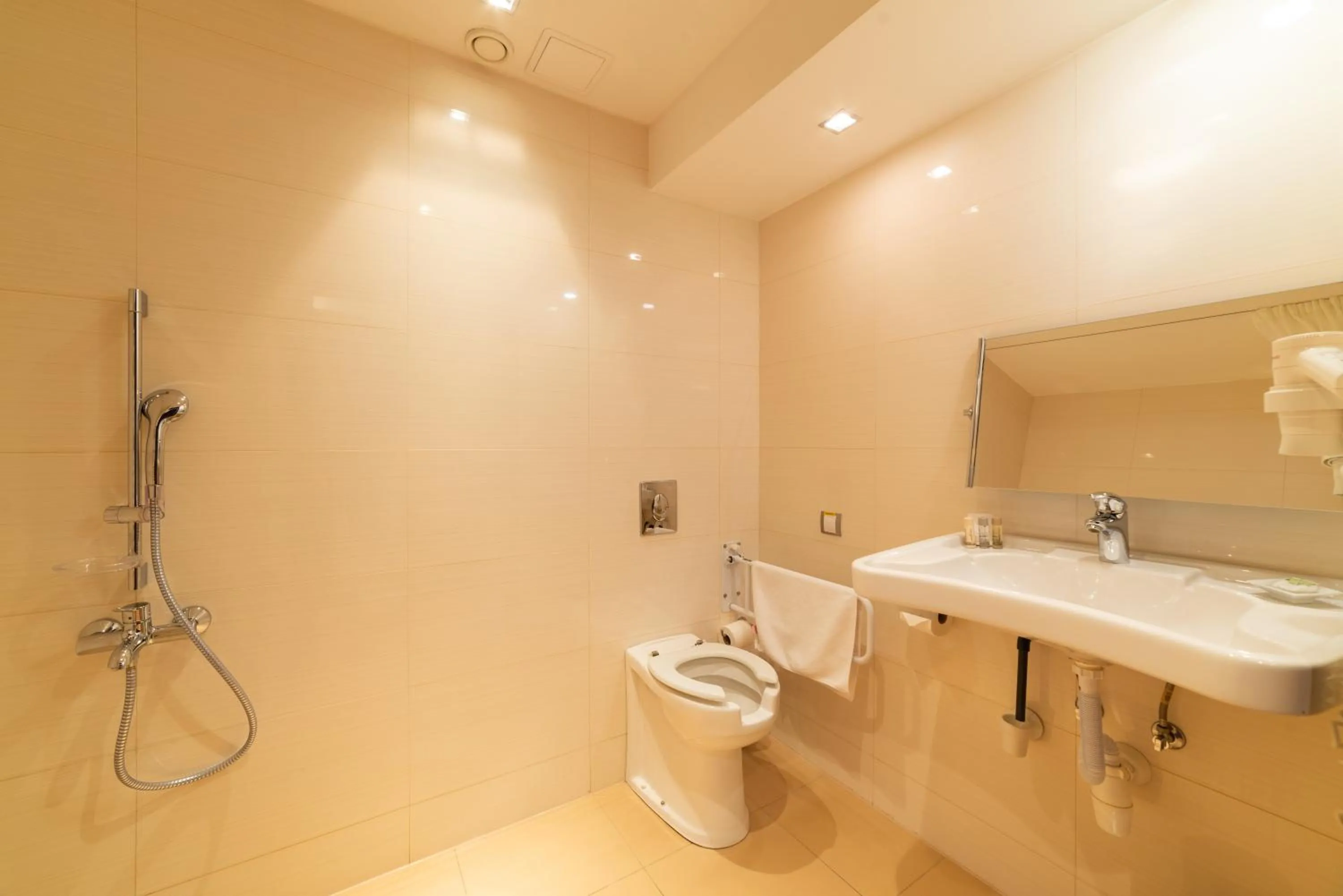 Bathroom in Hotel Pagony Wellness