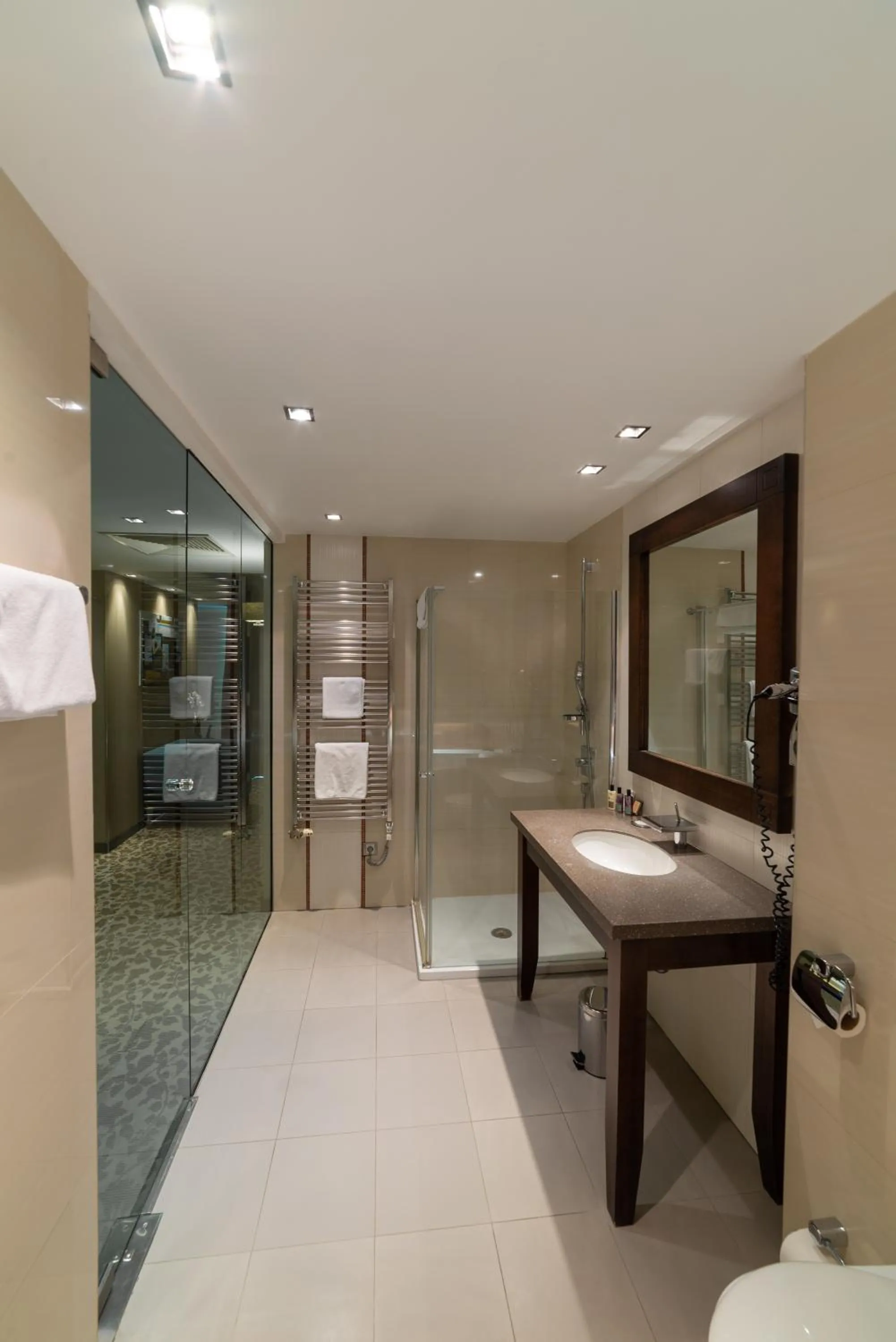 Bathroom in Hotel Pagony Wellness