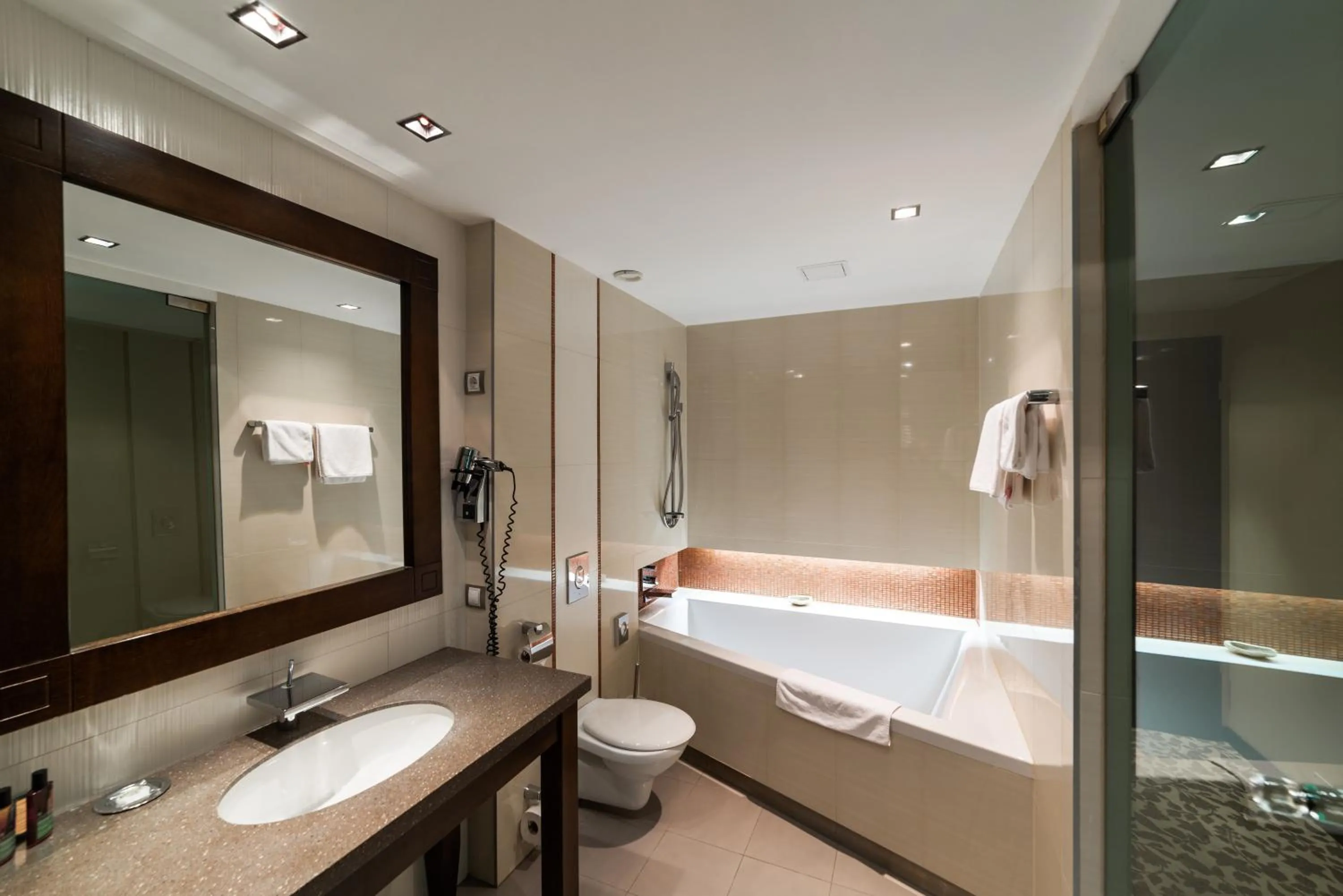 Bathroom in Hotel Pagony Wellness