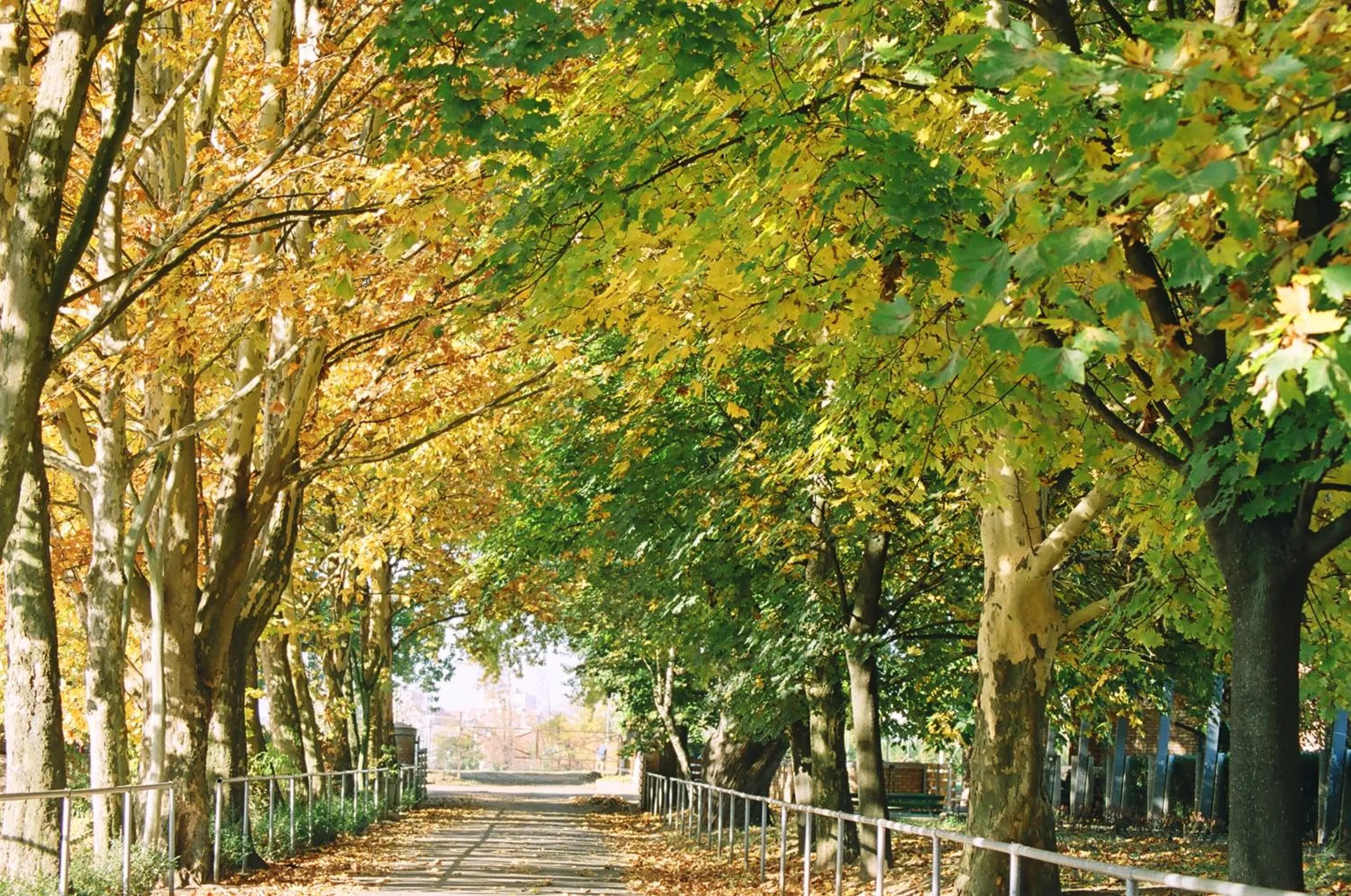 Neighbourhood in Hotel Pagony Wellness