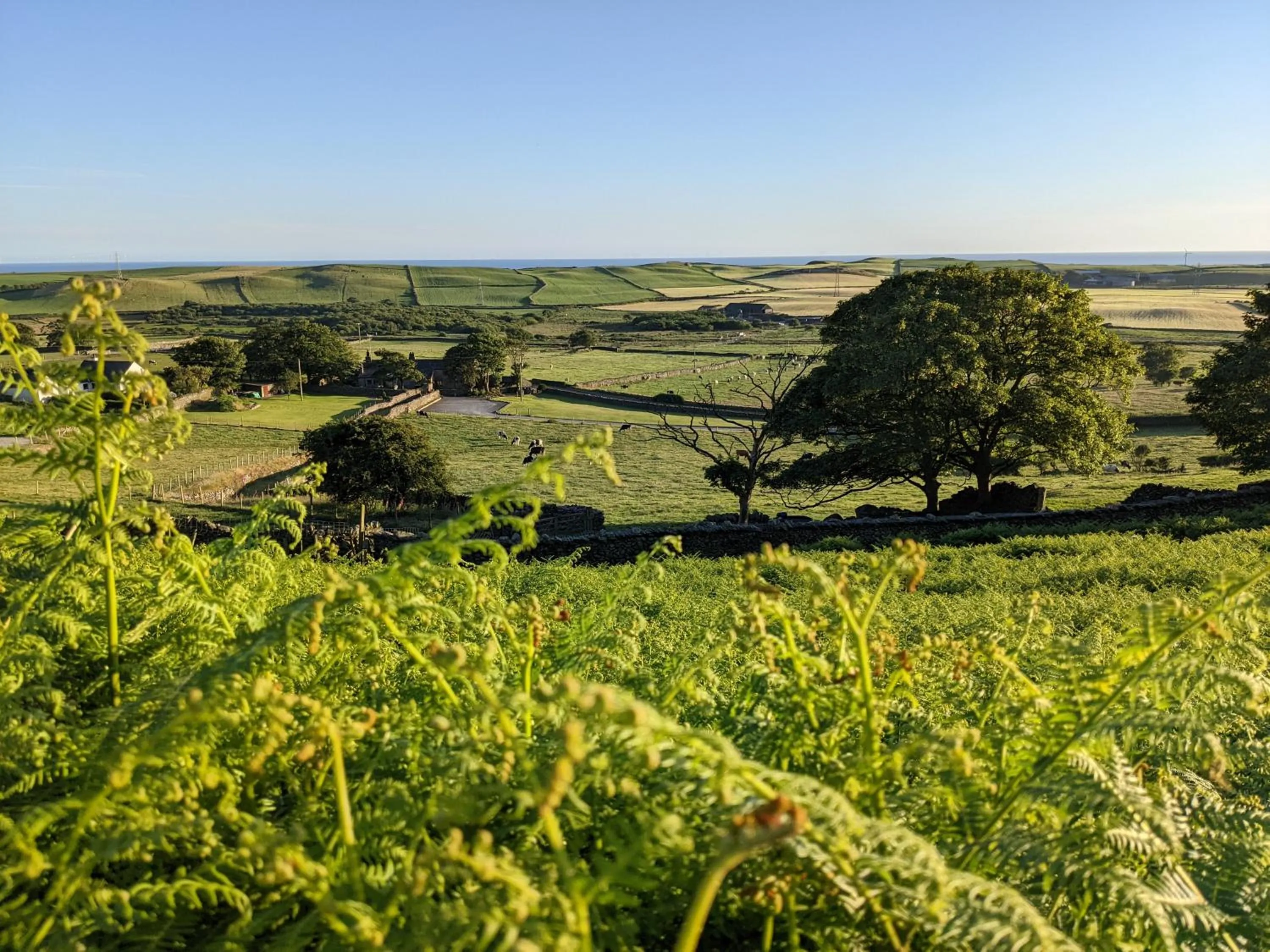 Property building in The Wayside and Whisky Barn