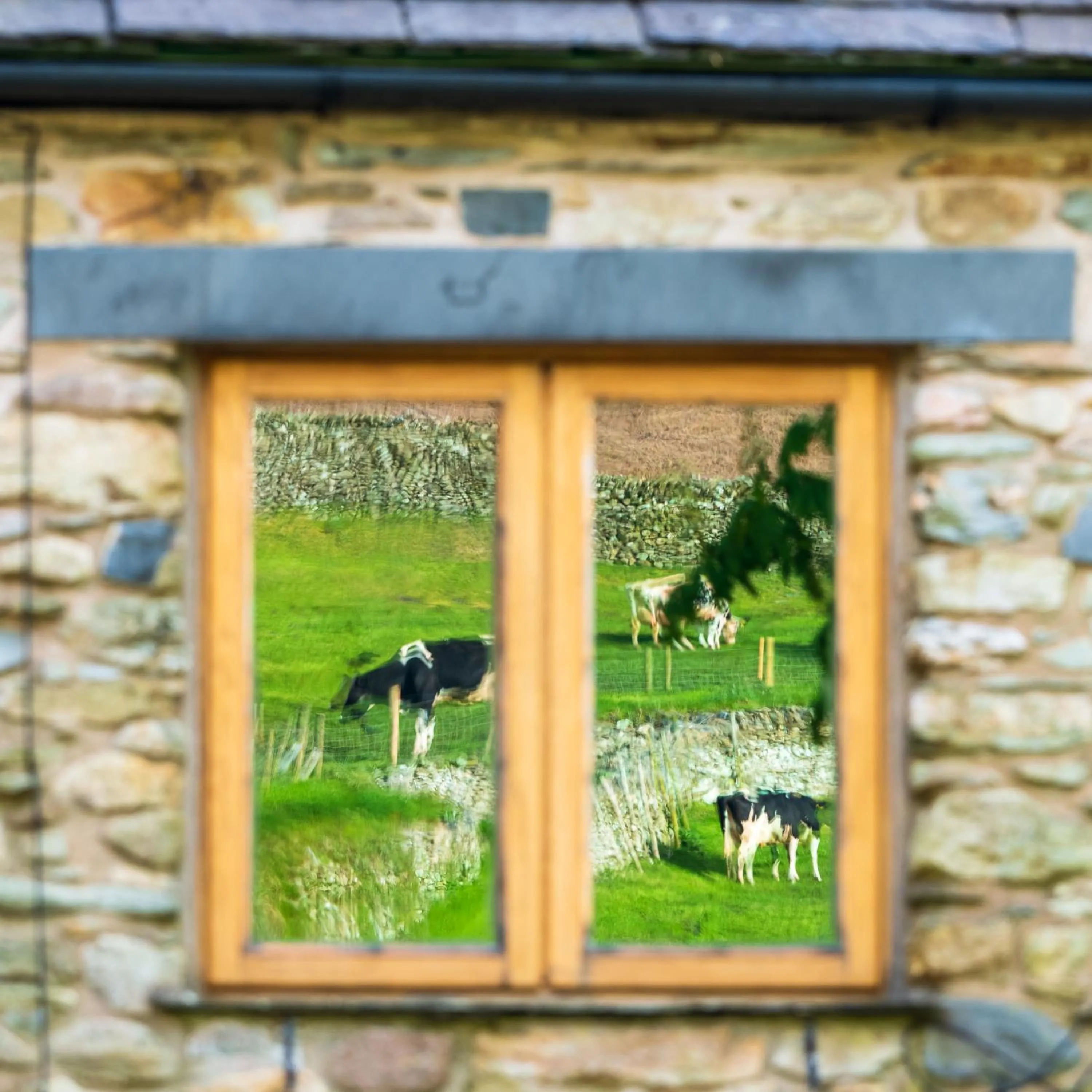 Property building in The Wayside and Whisky Barn