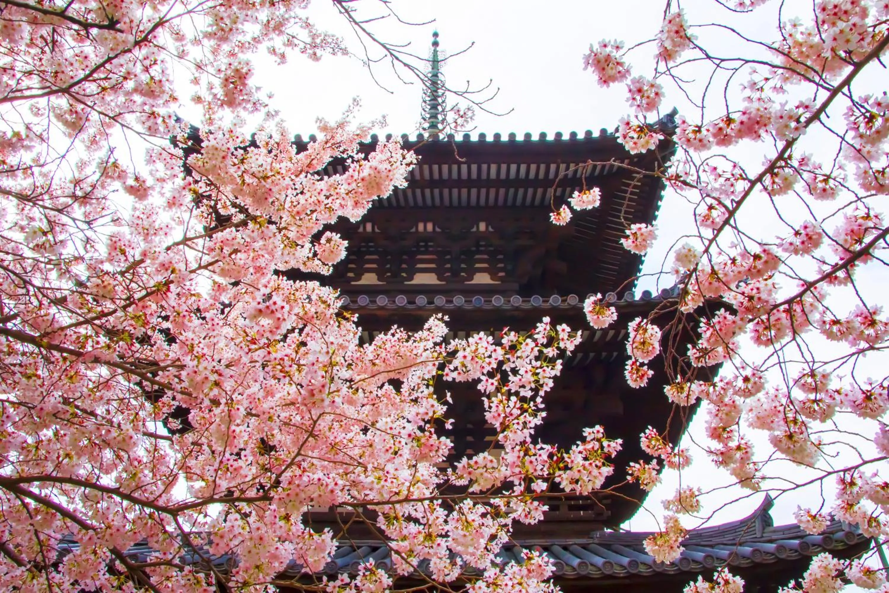 Nearby landmark in Temple Town Hotel WAQOO Horyuji