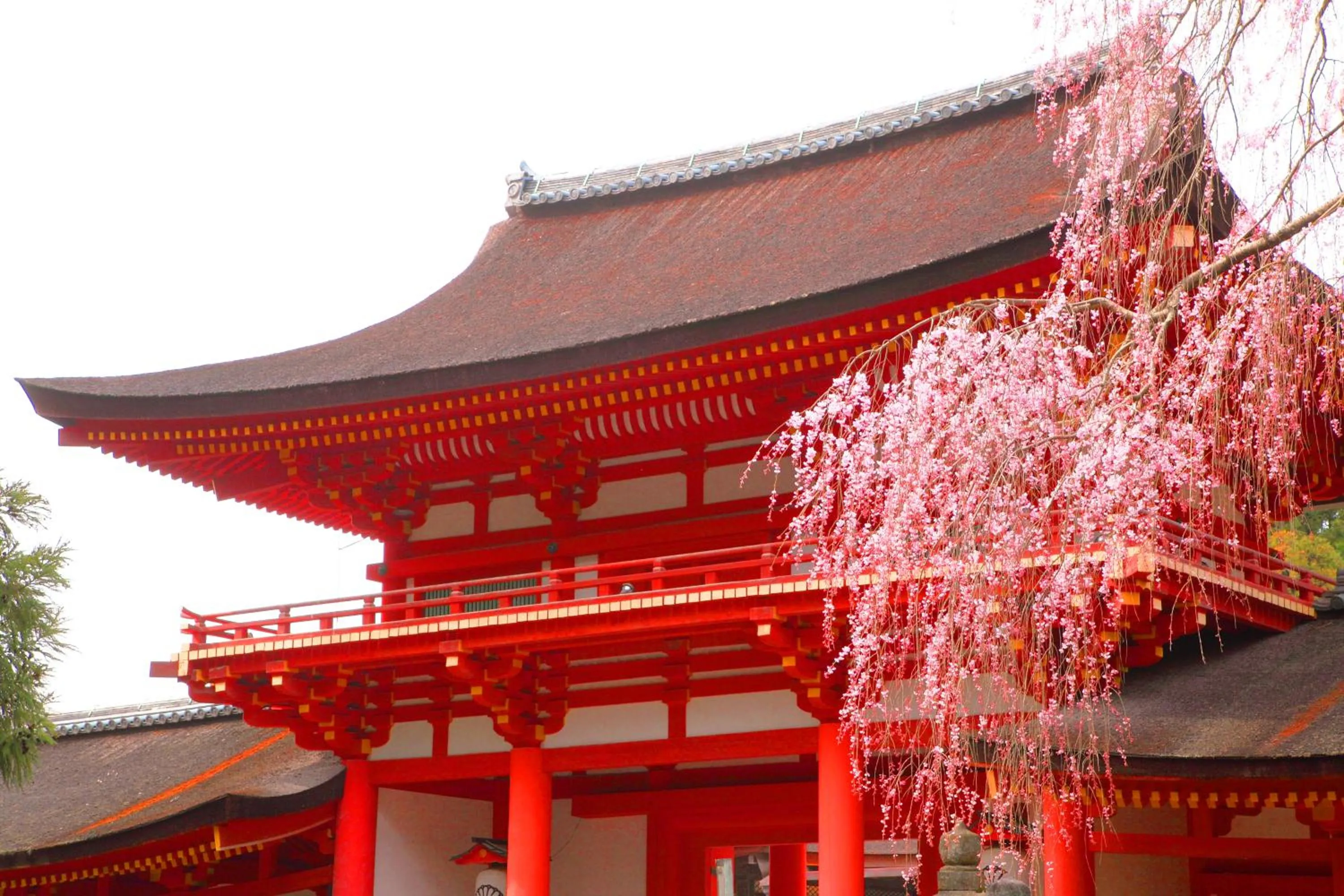 Nearby landmark in Temple Town Hotel WAQOO Horyuji