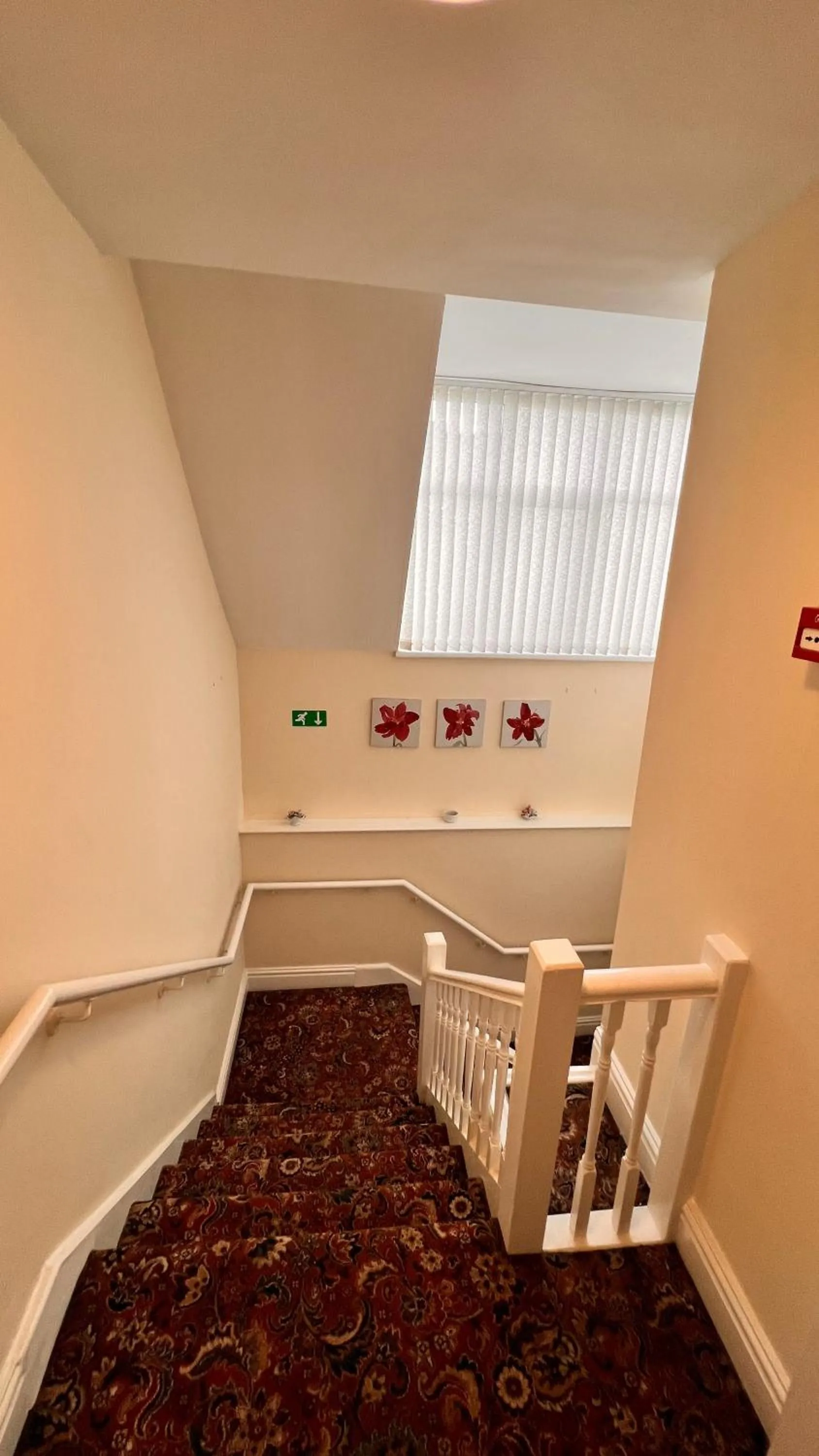 Area and facilities in Castle Lodge Guest House 86-88 Sheil Rd L6 3AF