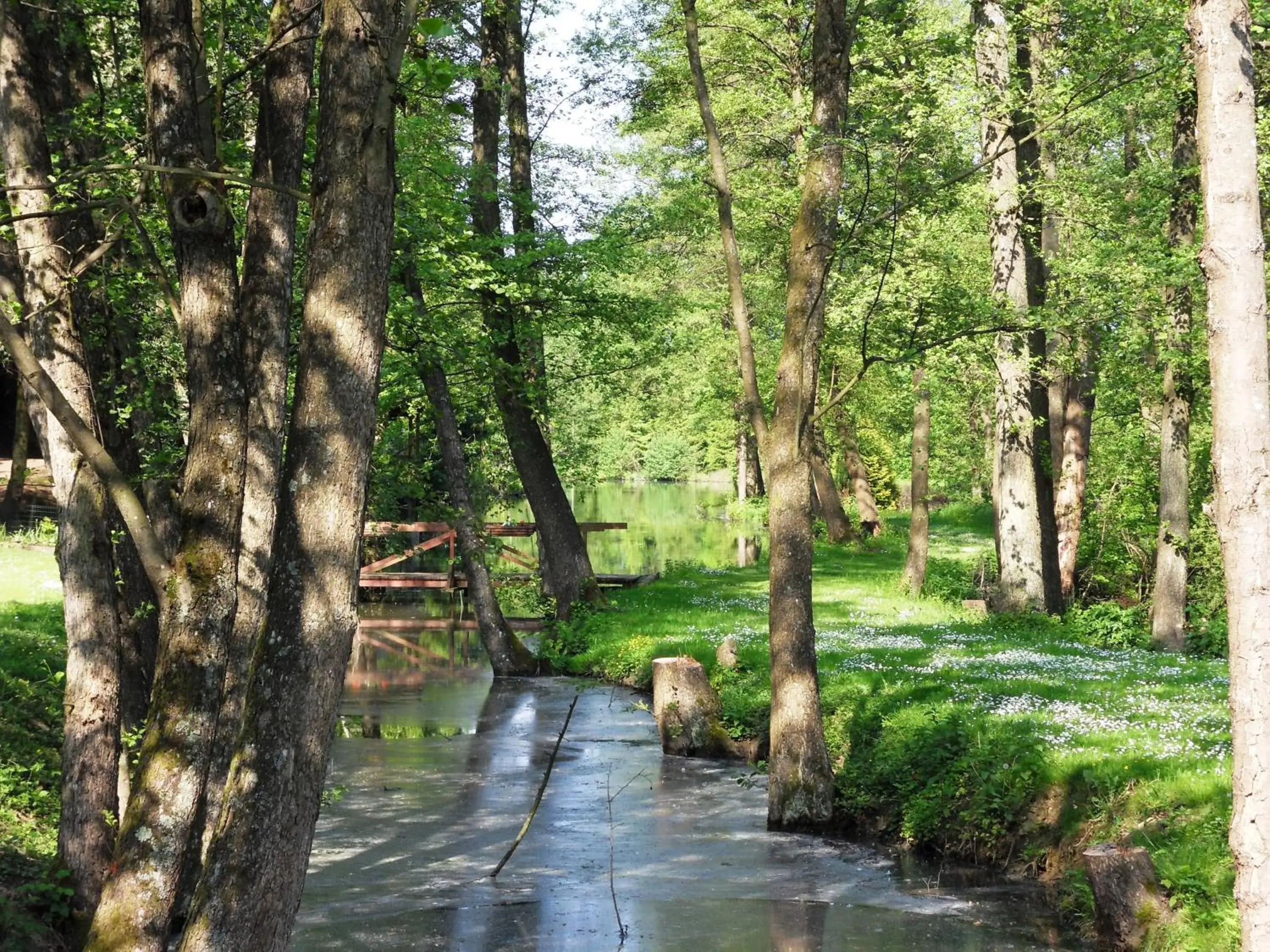 Natural landscape in Maison Jenny Hotel Restaurant & Spa Natural landscape in Maison Jenny Hotel Restaurant & Spa