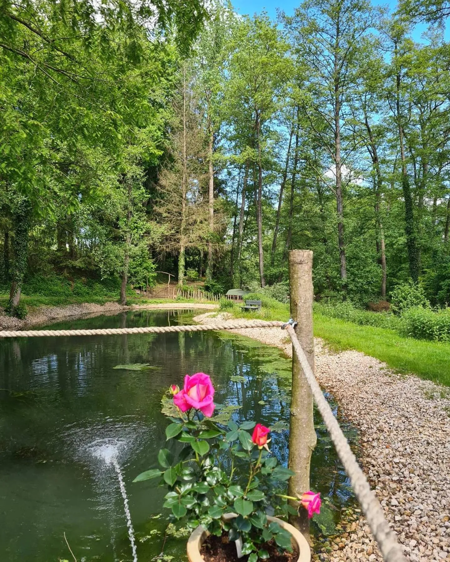 Natural landscape in Maison Jenny Hotel Restaurant & Spa