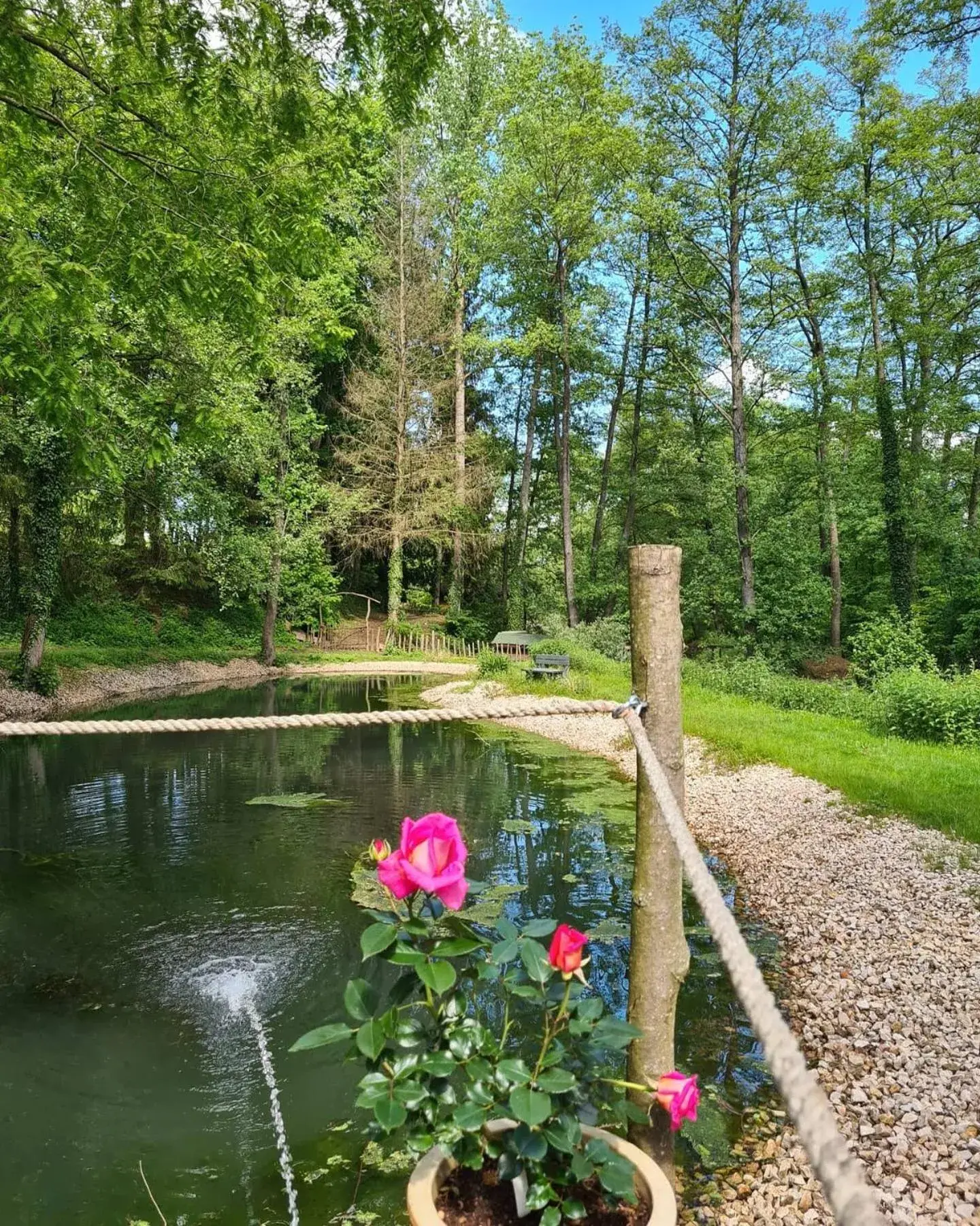 Natural landscape in Maison Jenny Hotel Restaurant & Spa Natural landscape in Maison Jenny Hotel Restaurant & Spa