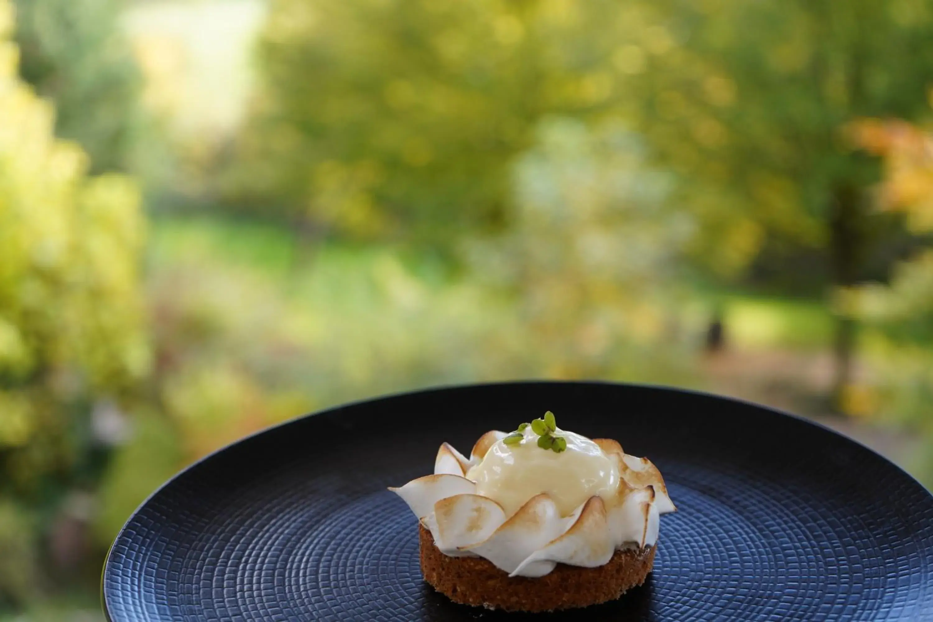 Restaurant/places to eat in Maison Jenny Hotel Restaurant & Spa Restaurant/places to eat in Maison Jenny Hotel Restaurant & Spa