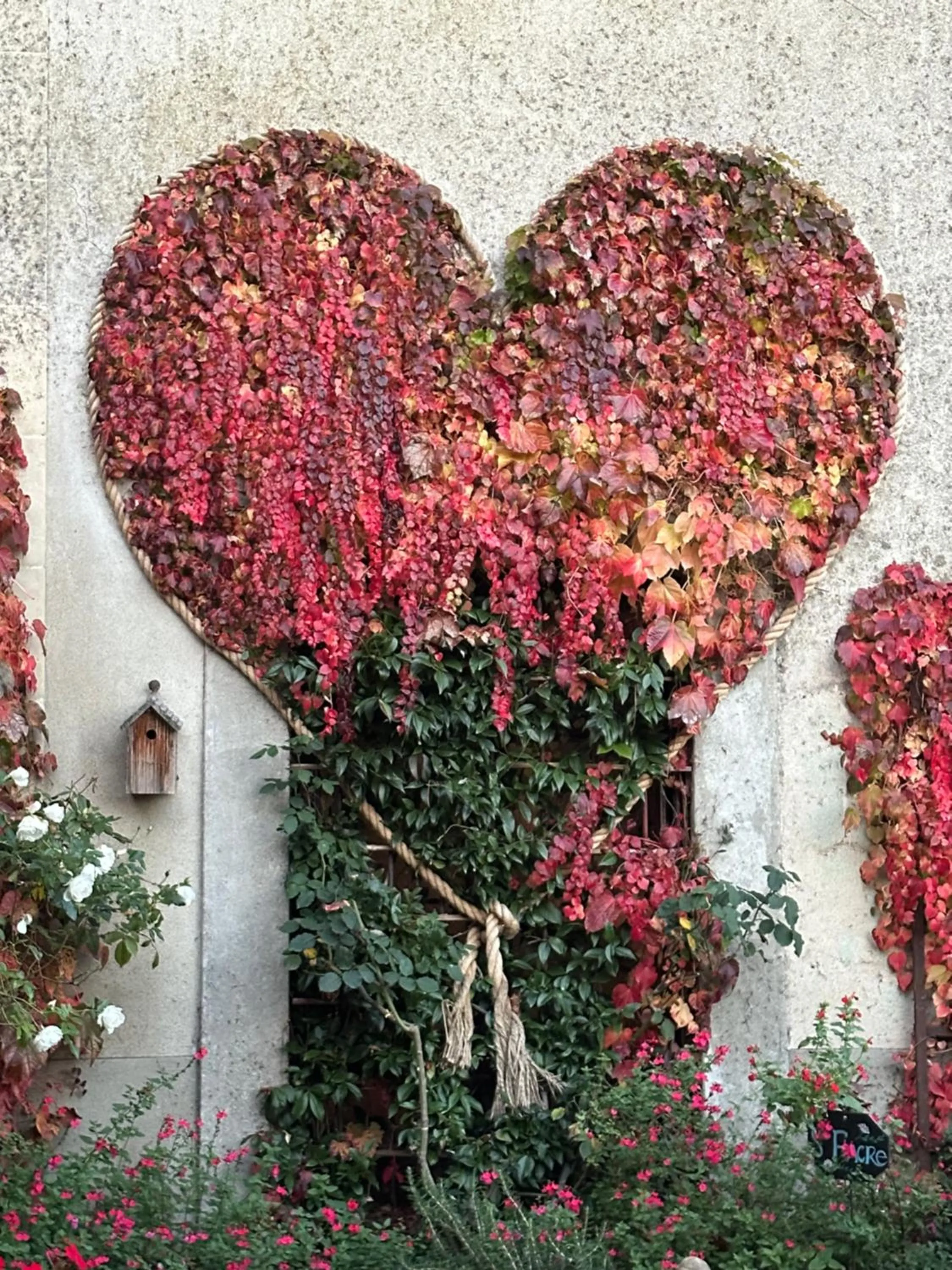Garden view in Logis Saint-Flaceau