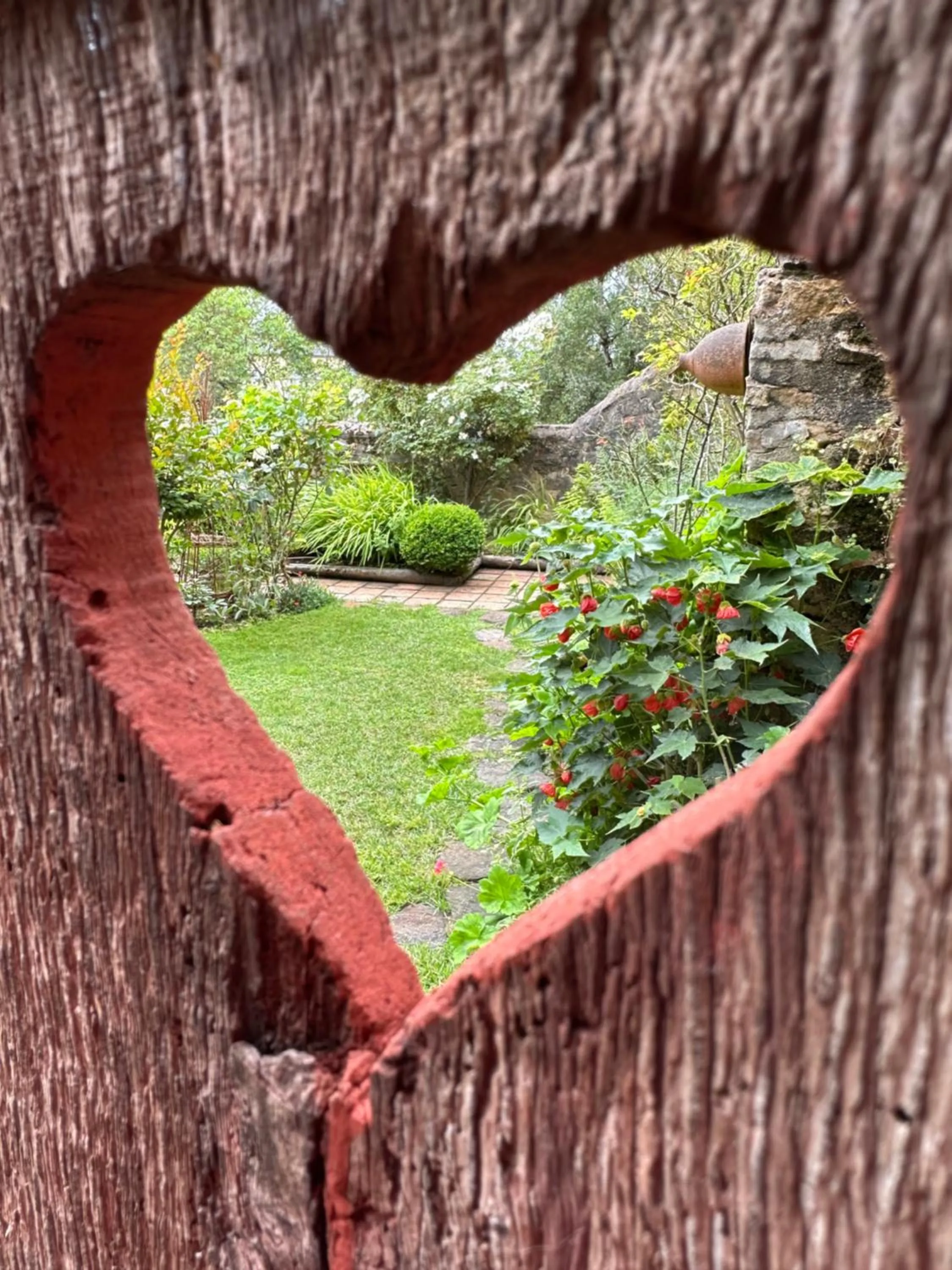 Garden in Logis Saint-Flaceau
