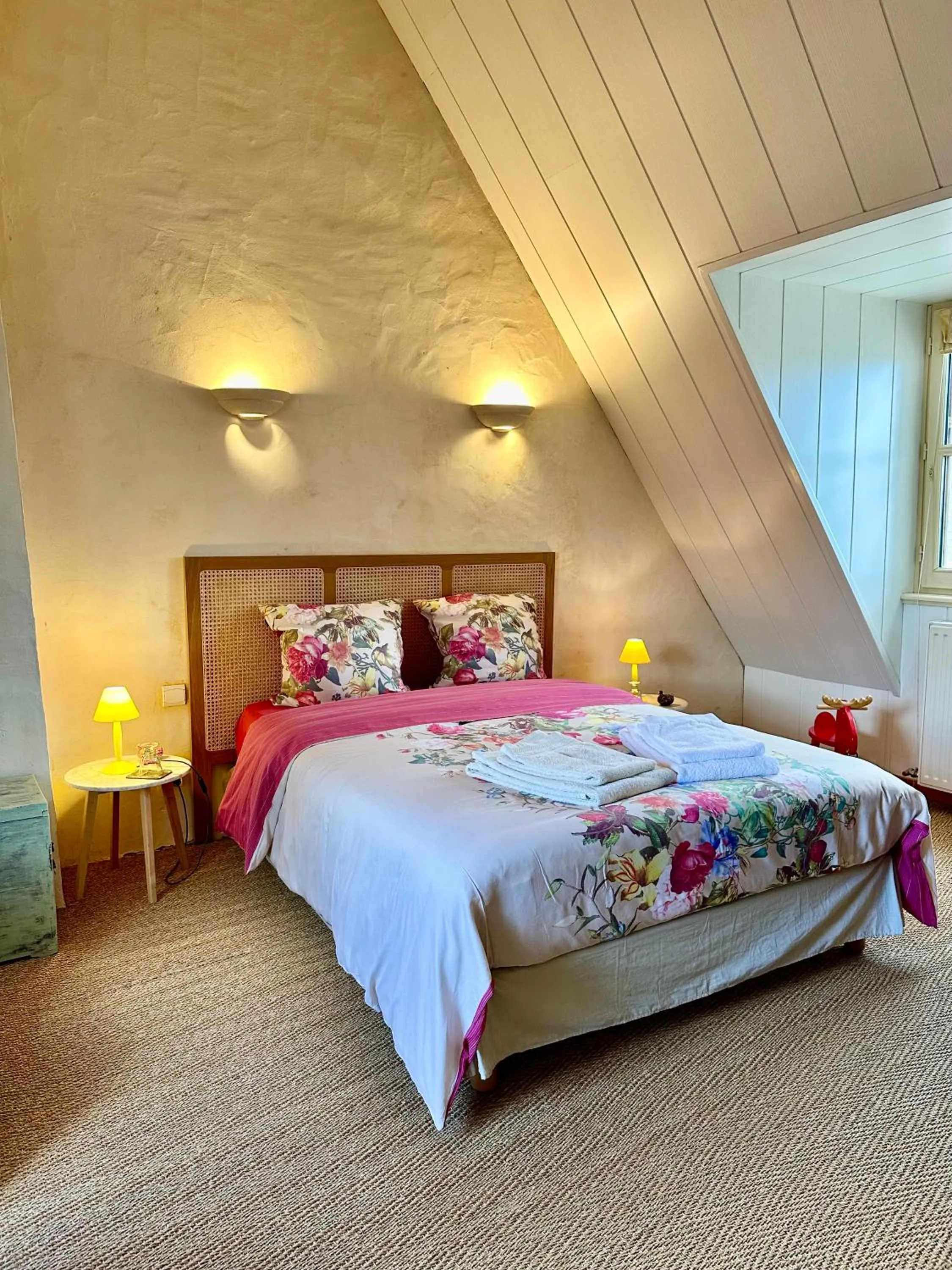 Bed in Logis Saint-Flaceau