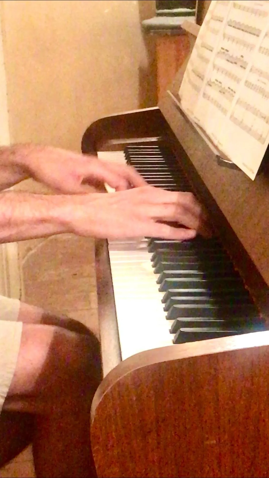 Library in Logis Saint-Flaceau