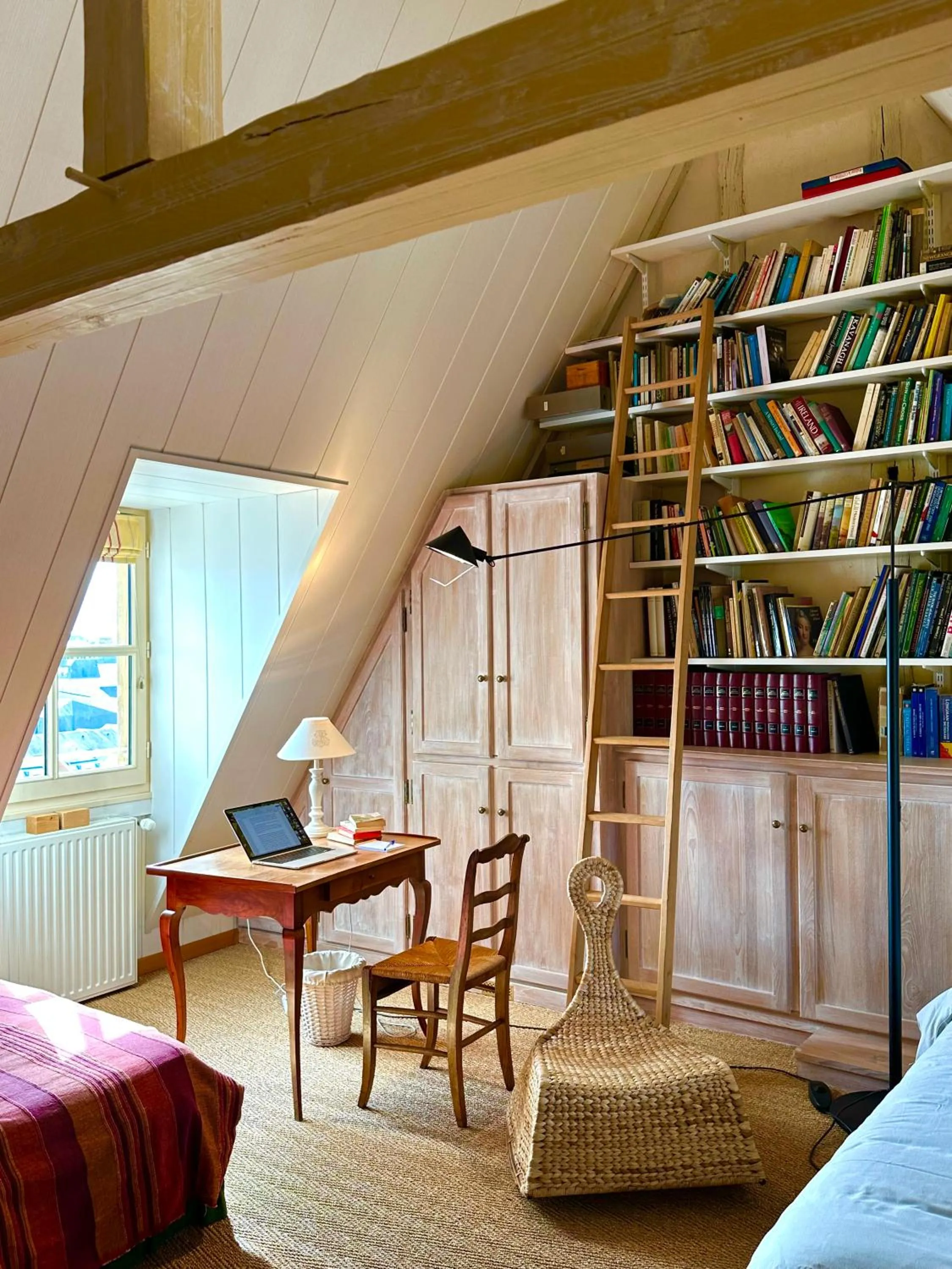 Library in Logis Saint-Flaceau