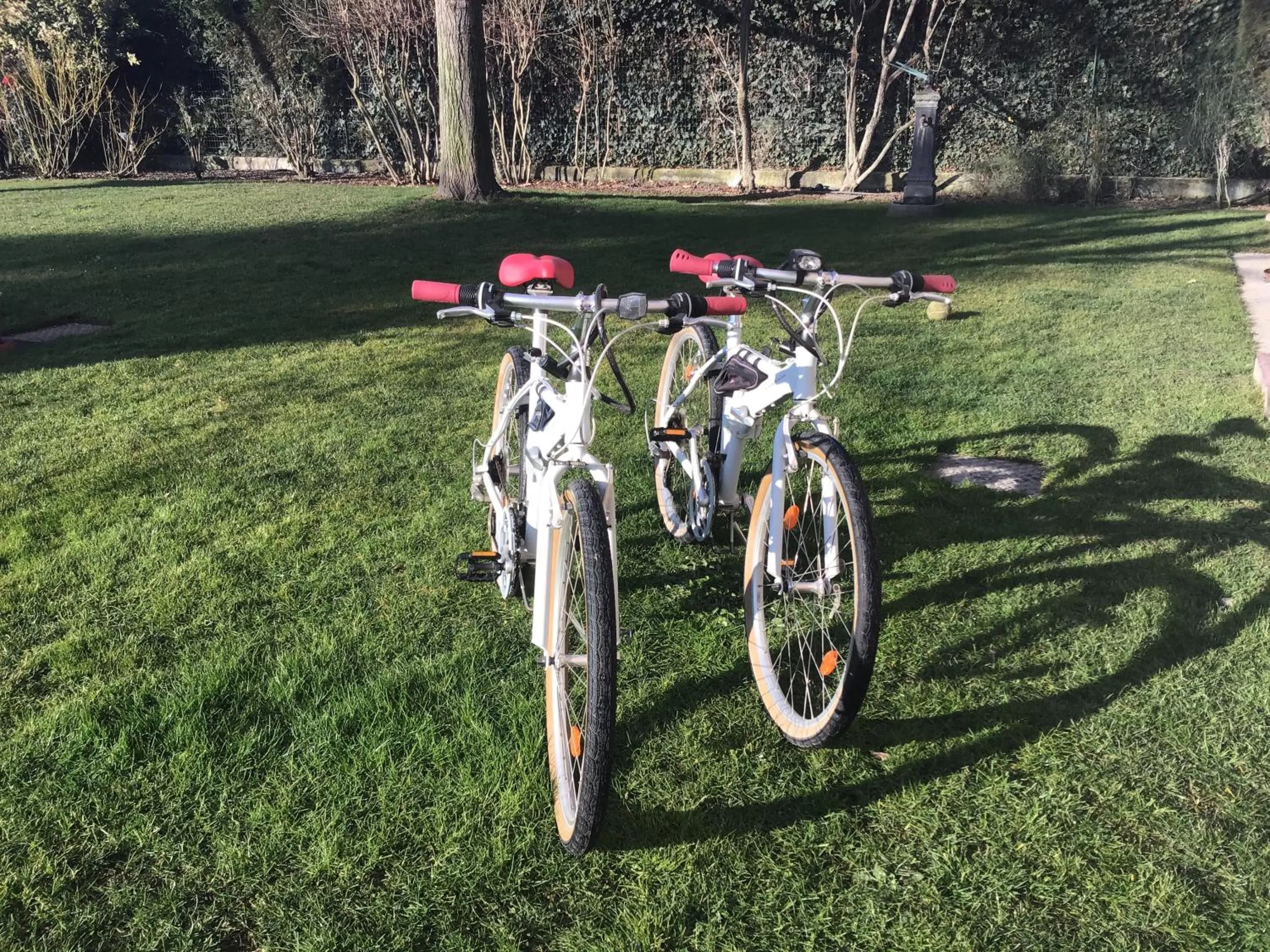 Cycling in Villa Matildis