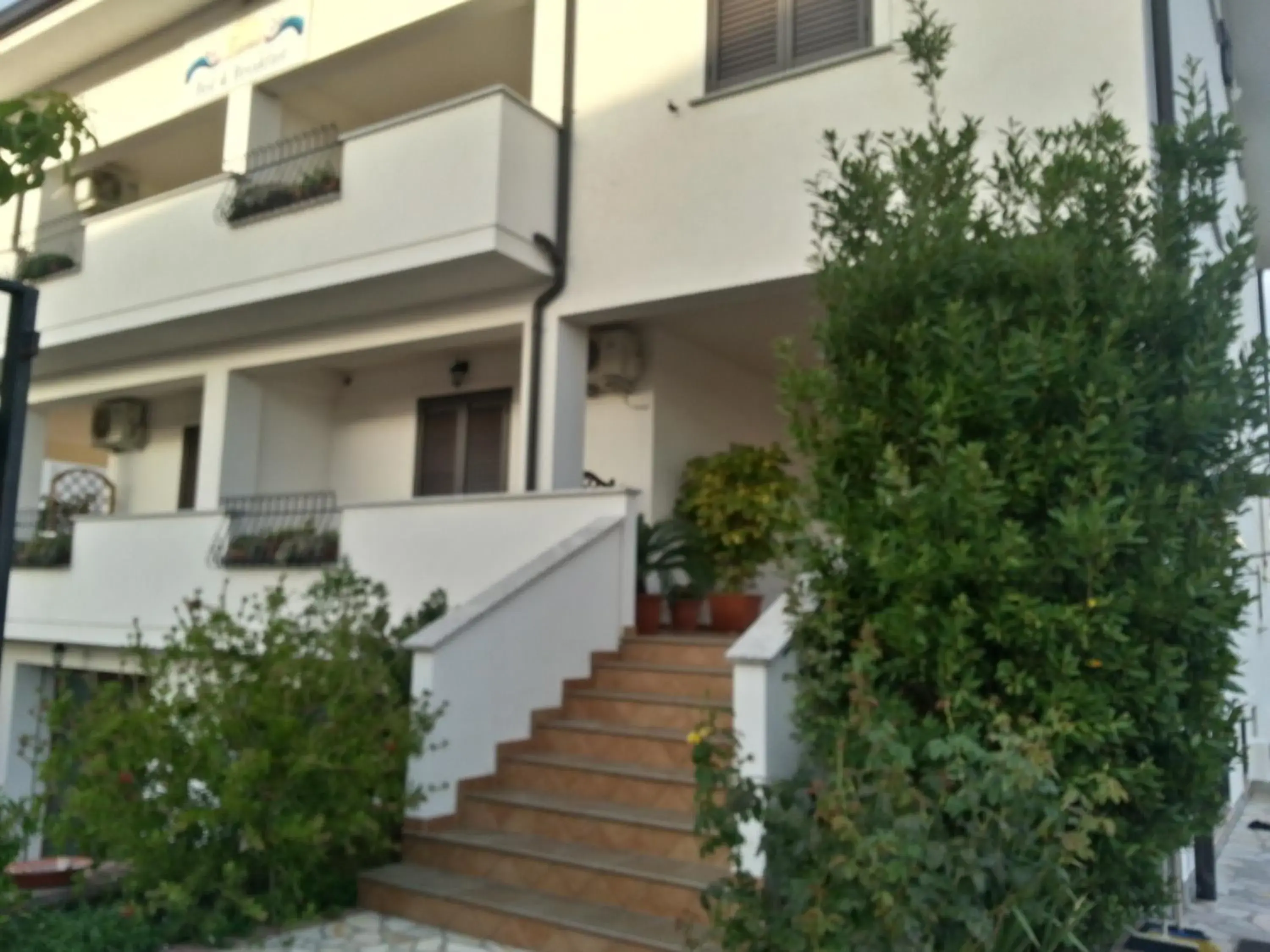 Zama Bed&Breakfast Zama Bed&Breakfast