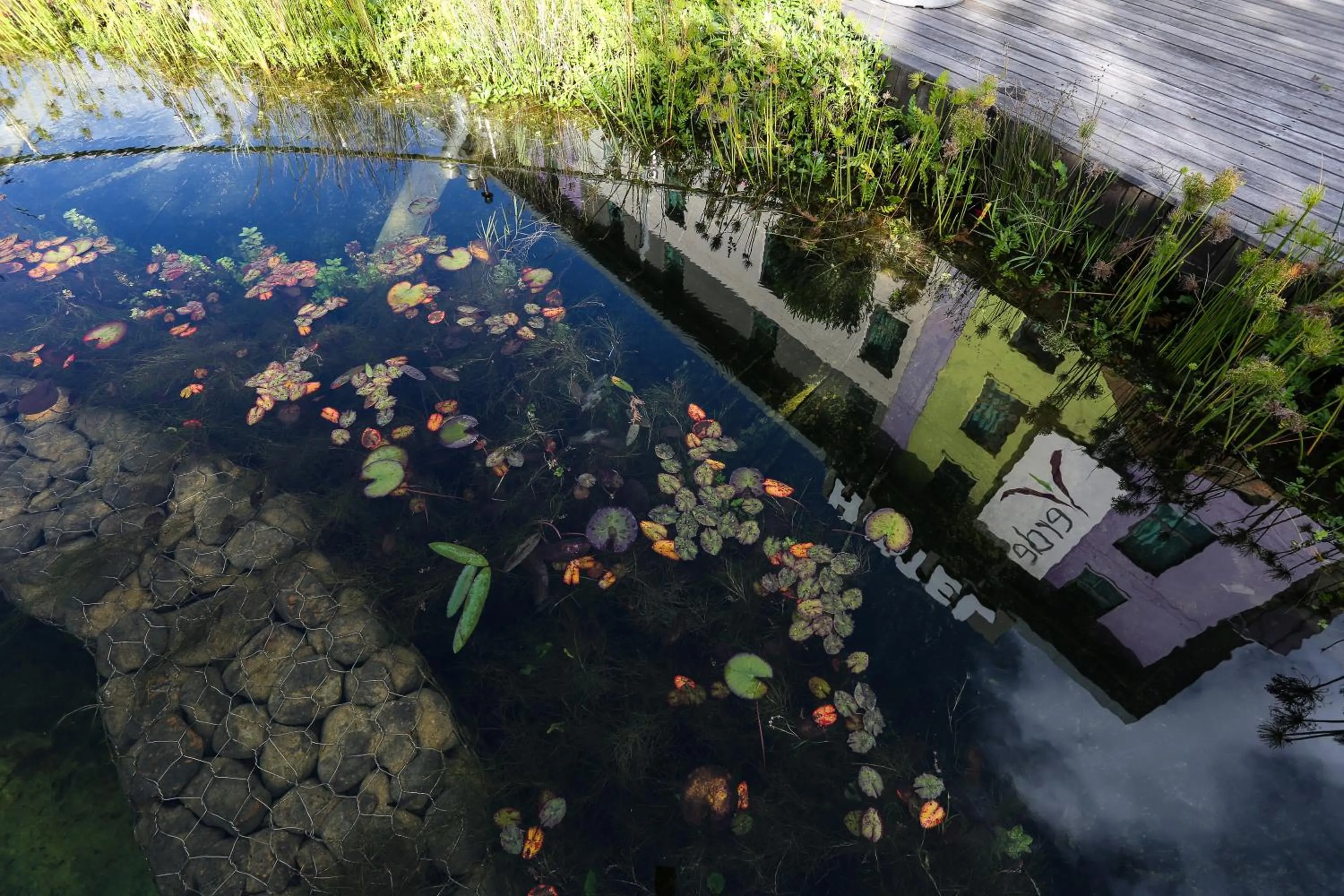 Activities in Hotel Verde Cape Town Airport