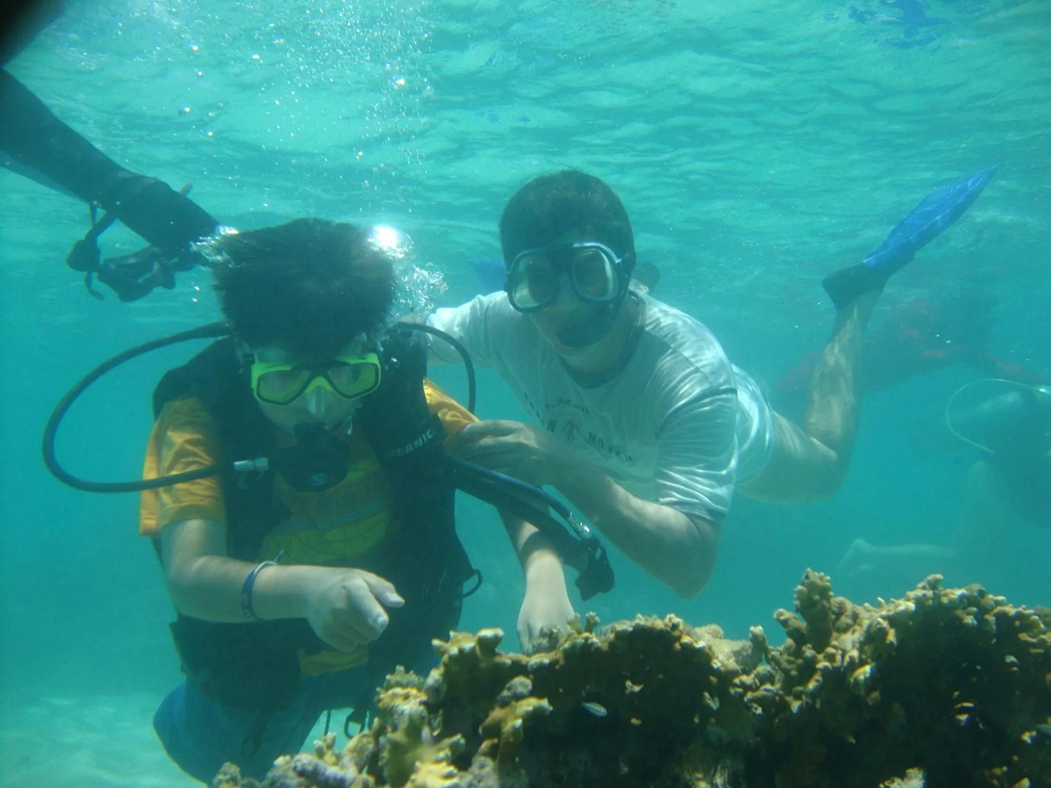 Diving in Pousada Água de Fuego