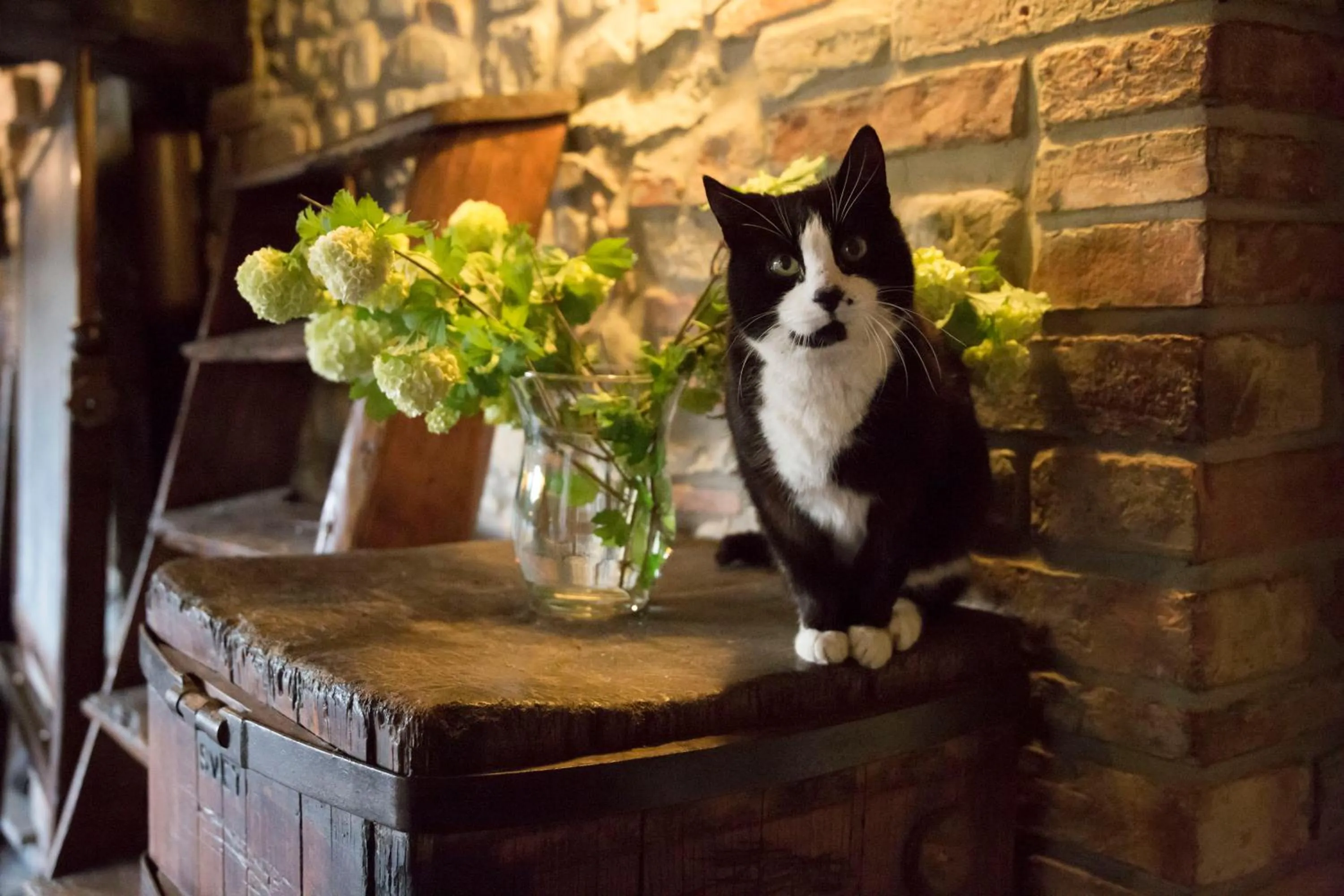 Family in Villa Sestilia Guest House