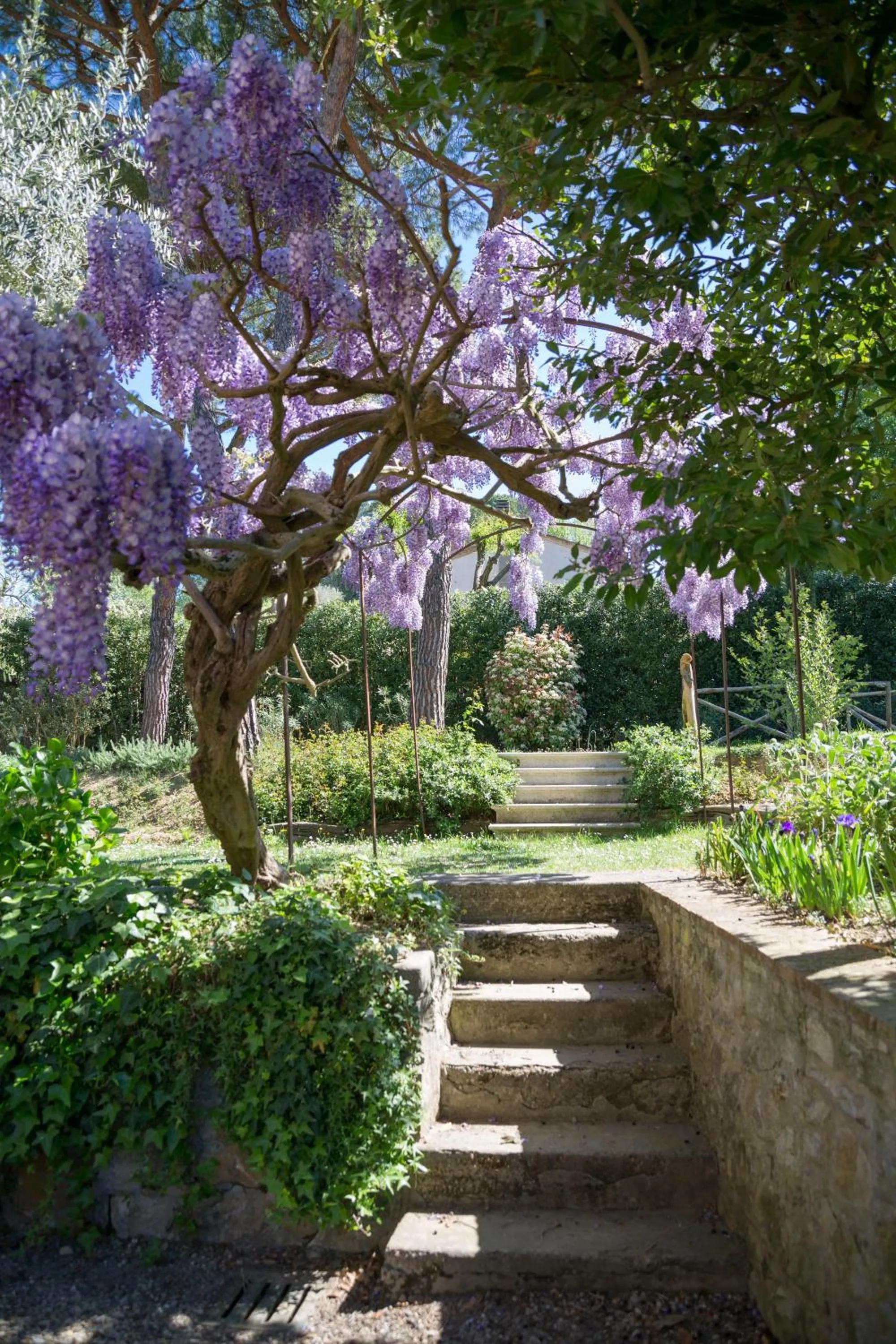Garden in Villa Sestilia Guest House