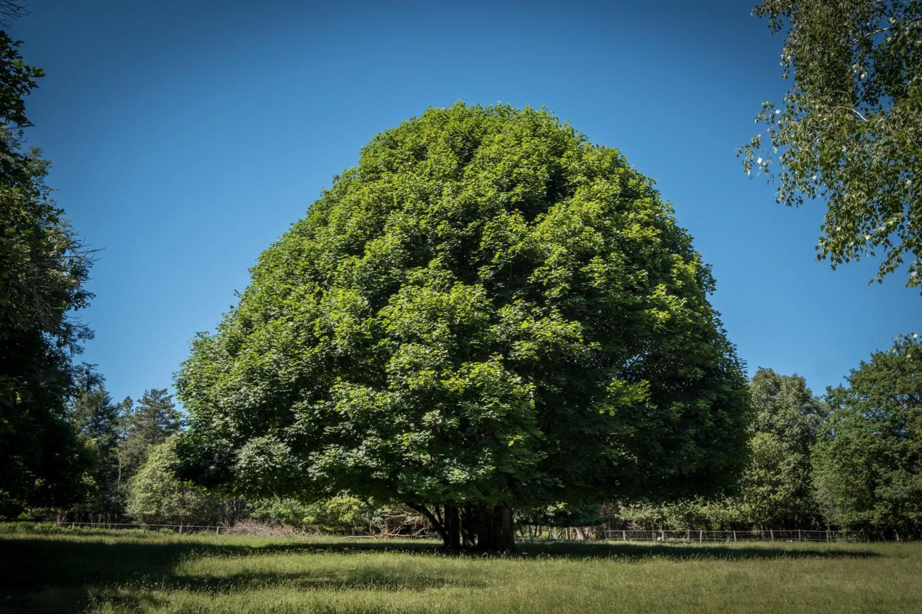 Natural landscape in Domaine de Malouziès