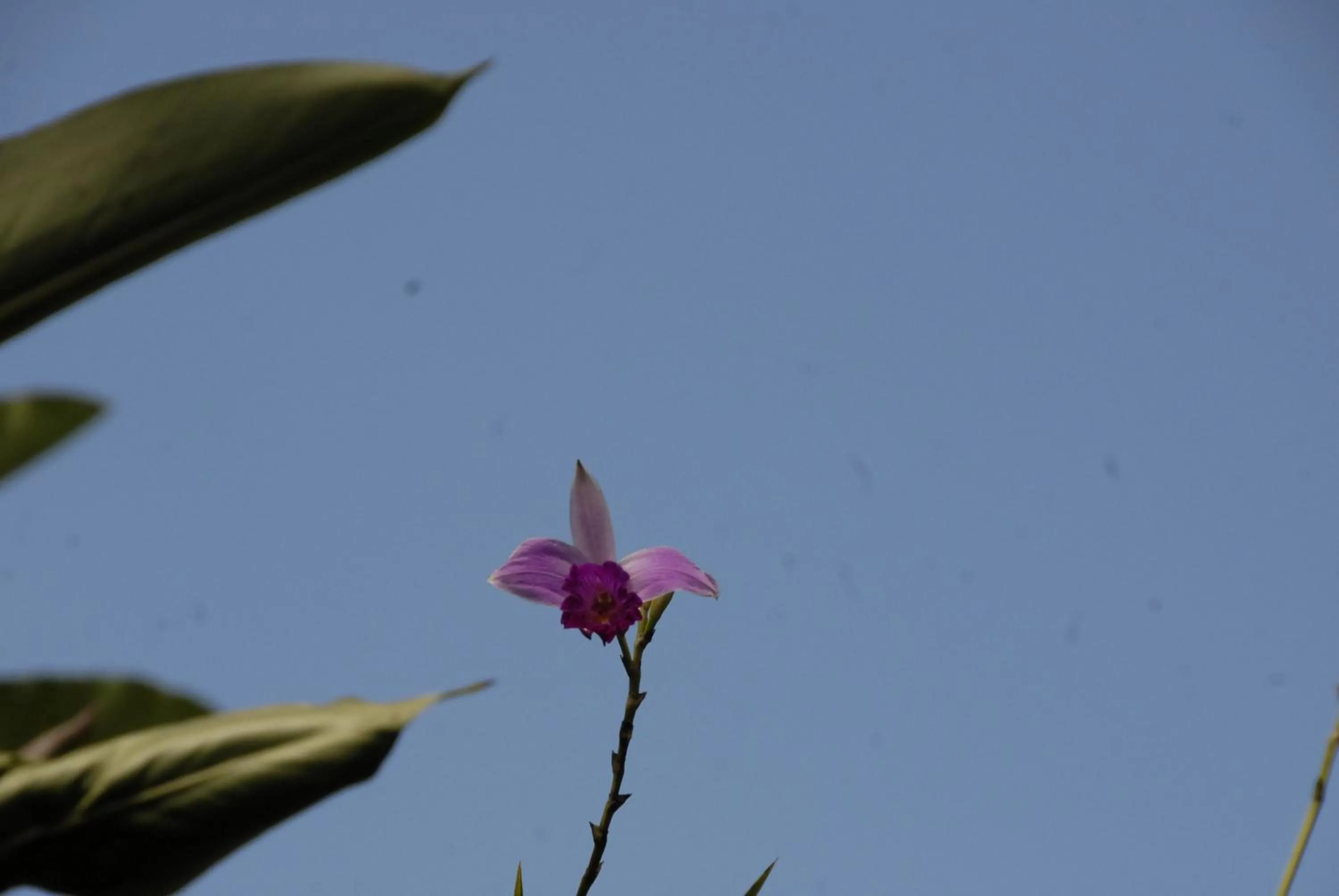 Decorative detail in Hotel Boutique La Casa de las Flores