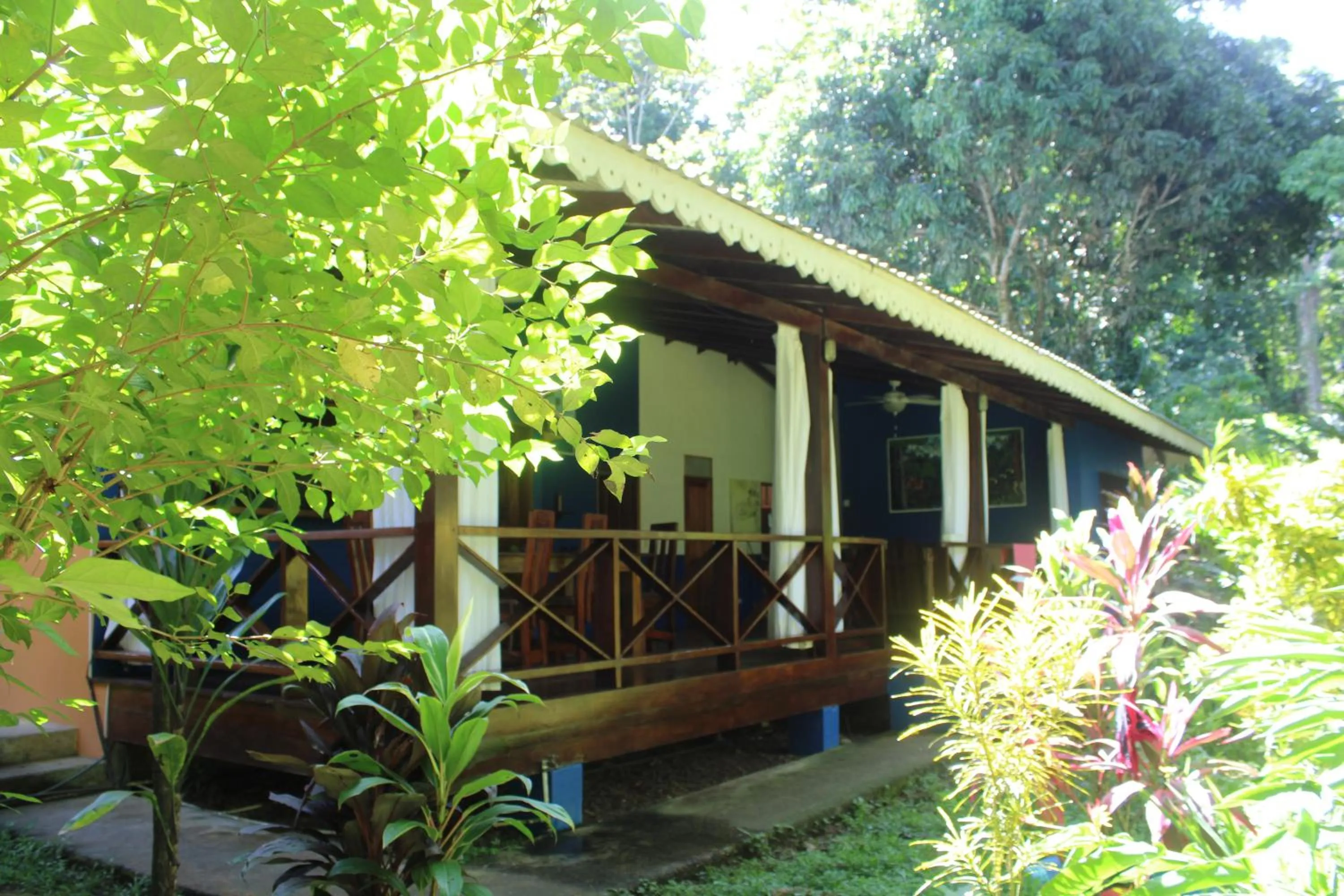 Garden in Hotel Casitas Mar y Luz