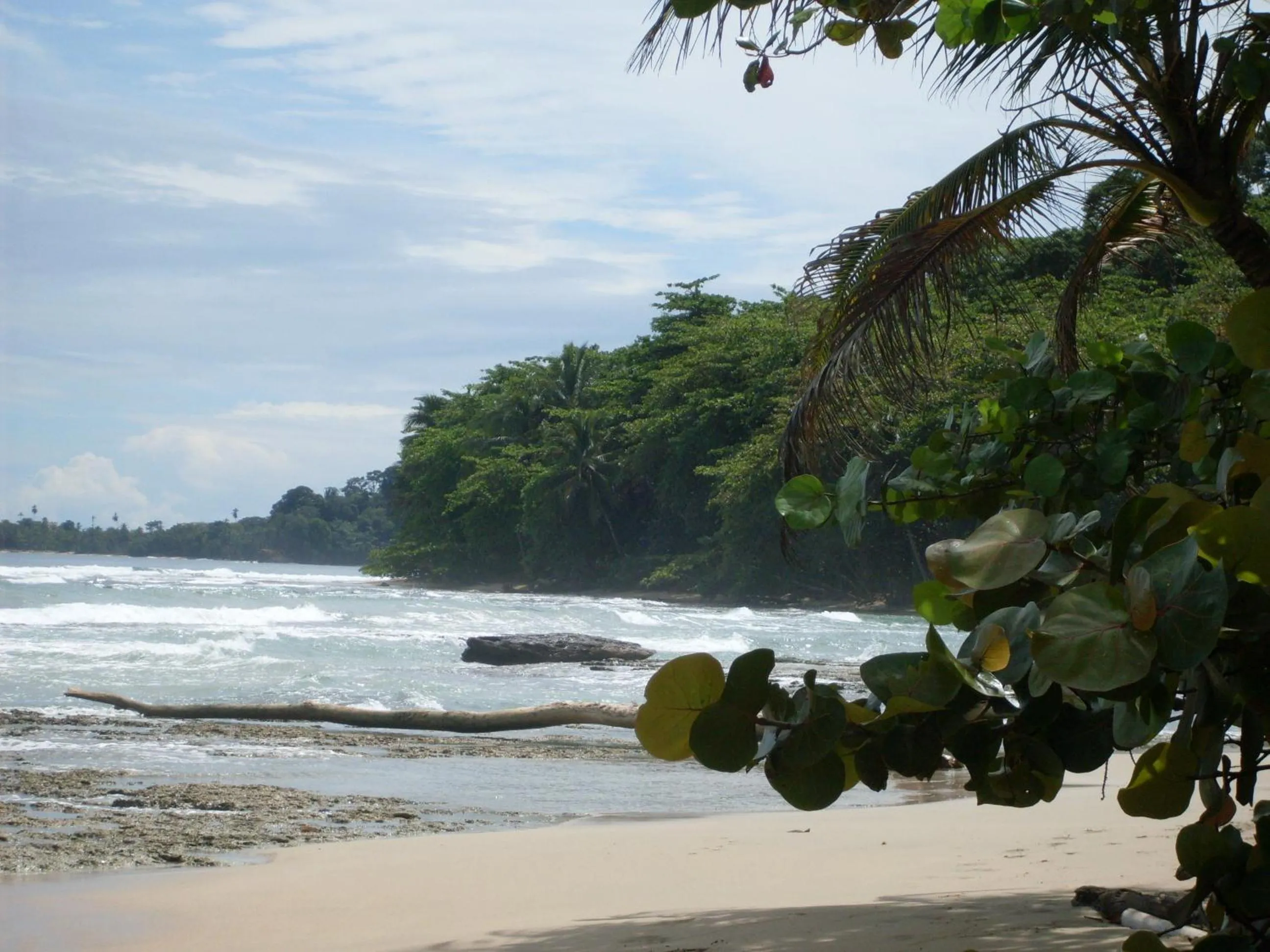 Beach in Hotel Casitas Mar y Luz