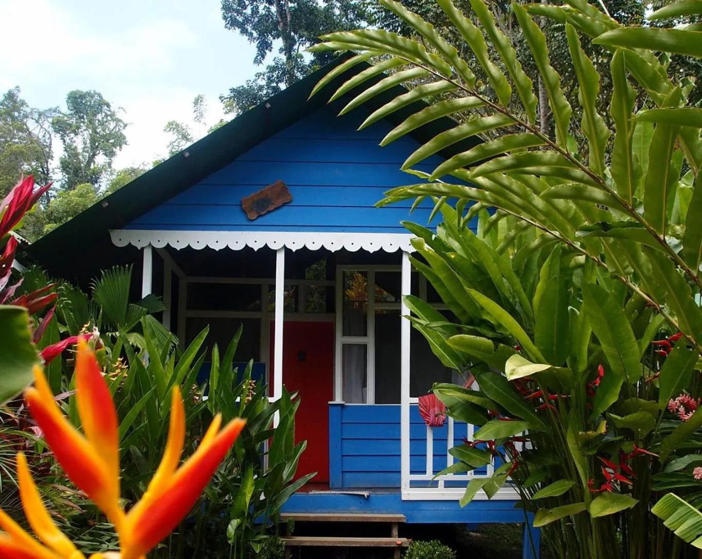 Garden in Hotel Casitas Mar y Luz