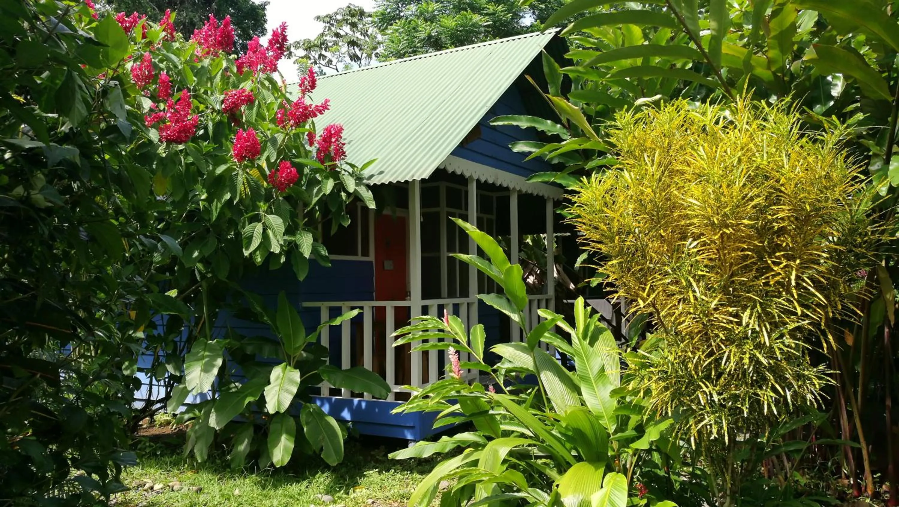 Garden in Hotel Casitas Mar y Luz