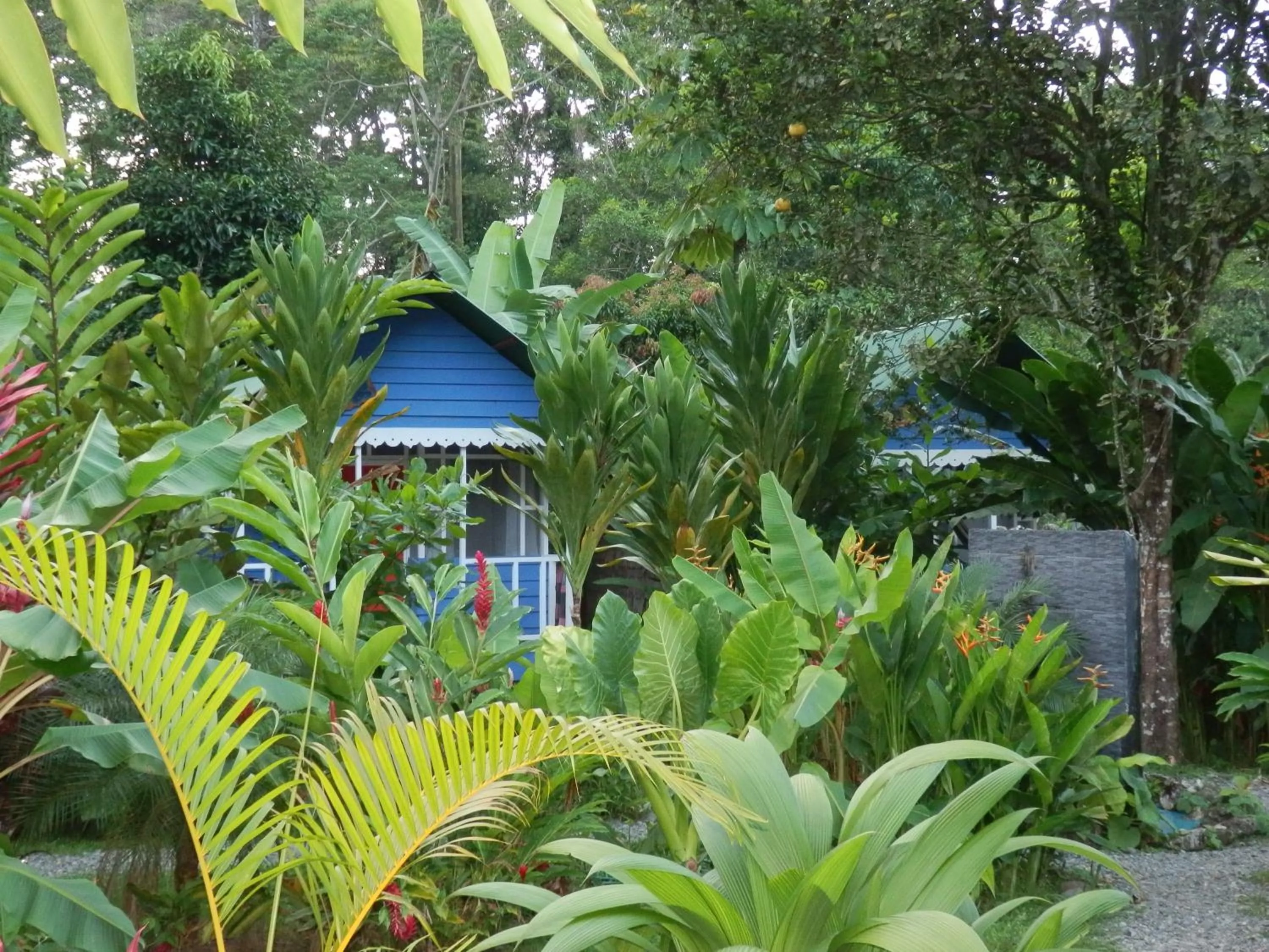 Bird's eye view in Hotel Casitas Mar y Luz